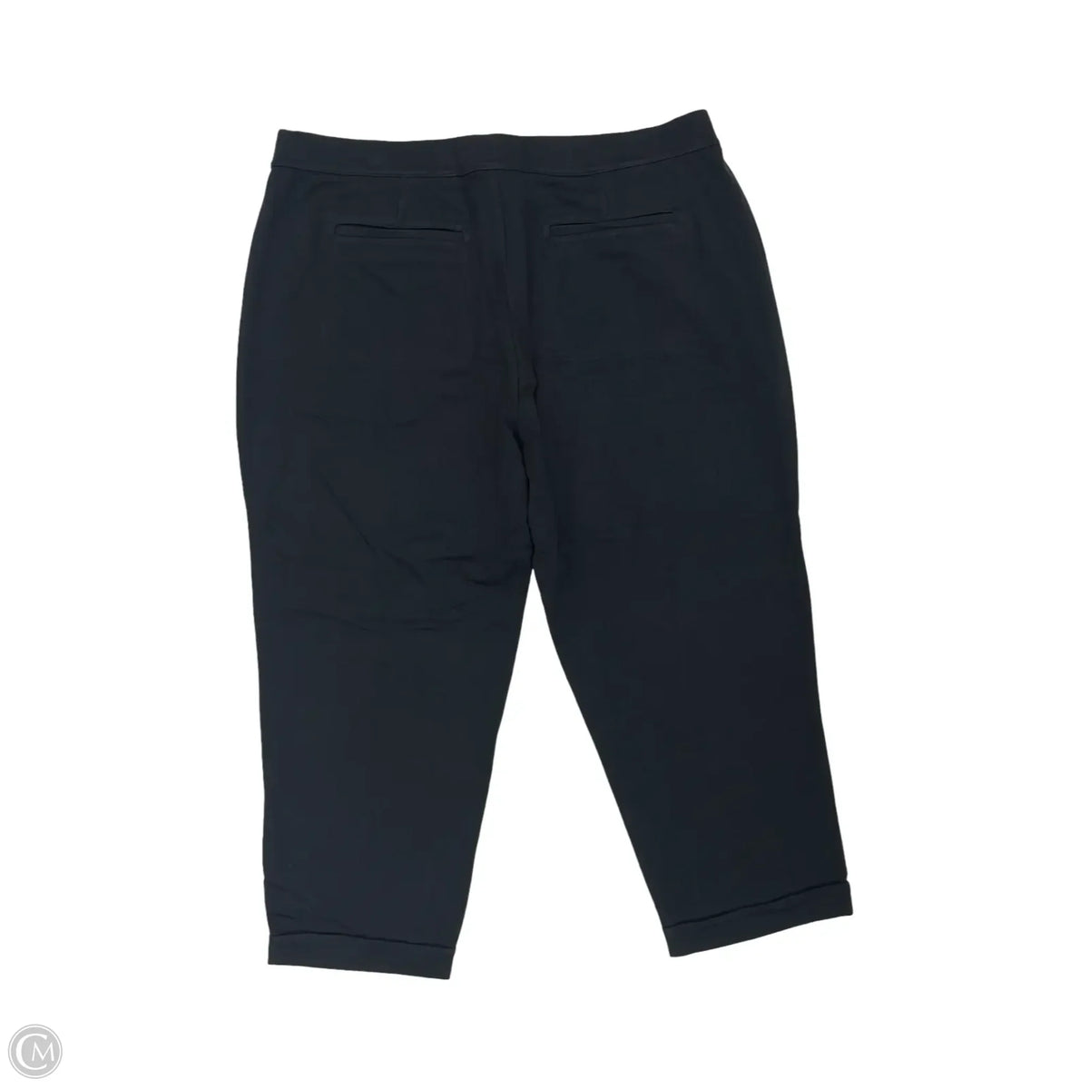 Pants Other By Lands End In Black, Size: 2x
