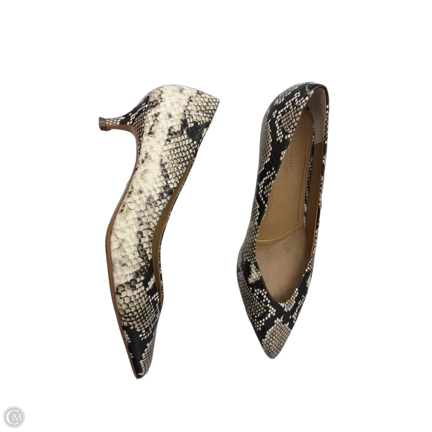 Shoes Heels Kitten By Vionic In Snakeskin Print, Size: 10
