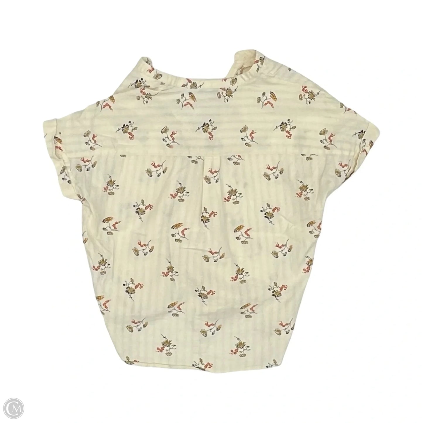 Blouse Short Sleeve By Madewell In Cream & Green, Size: Xs