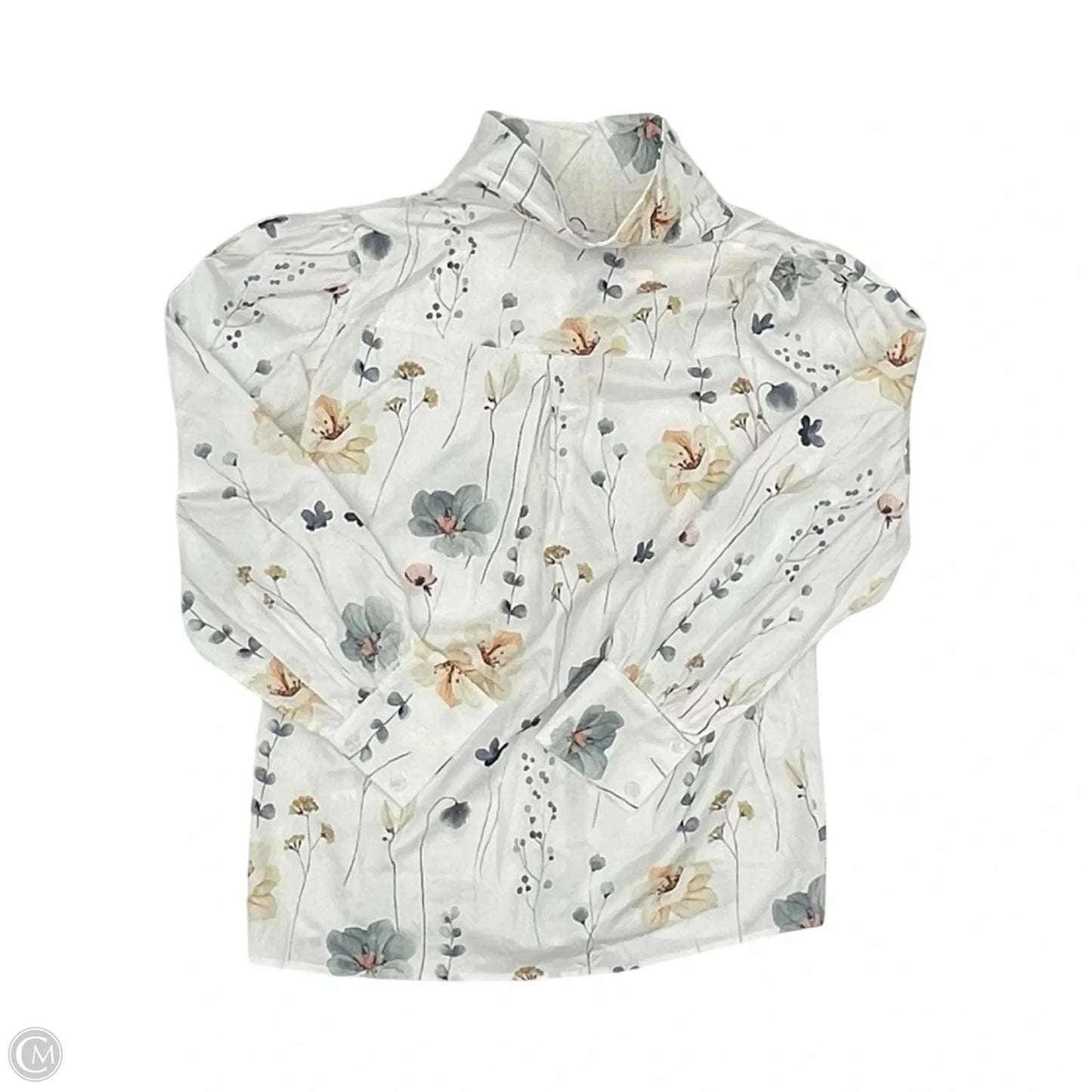 Blouse Long Sleeve By Zeagoo In Green & White, Size: M