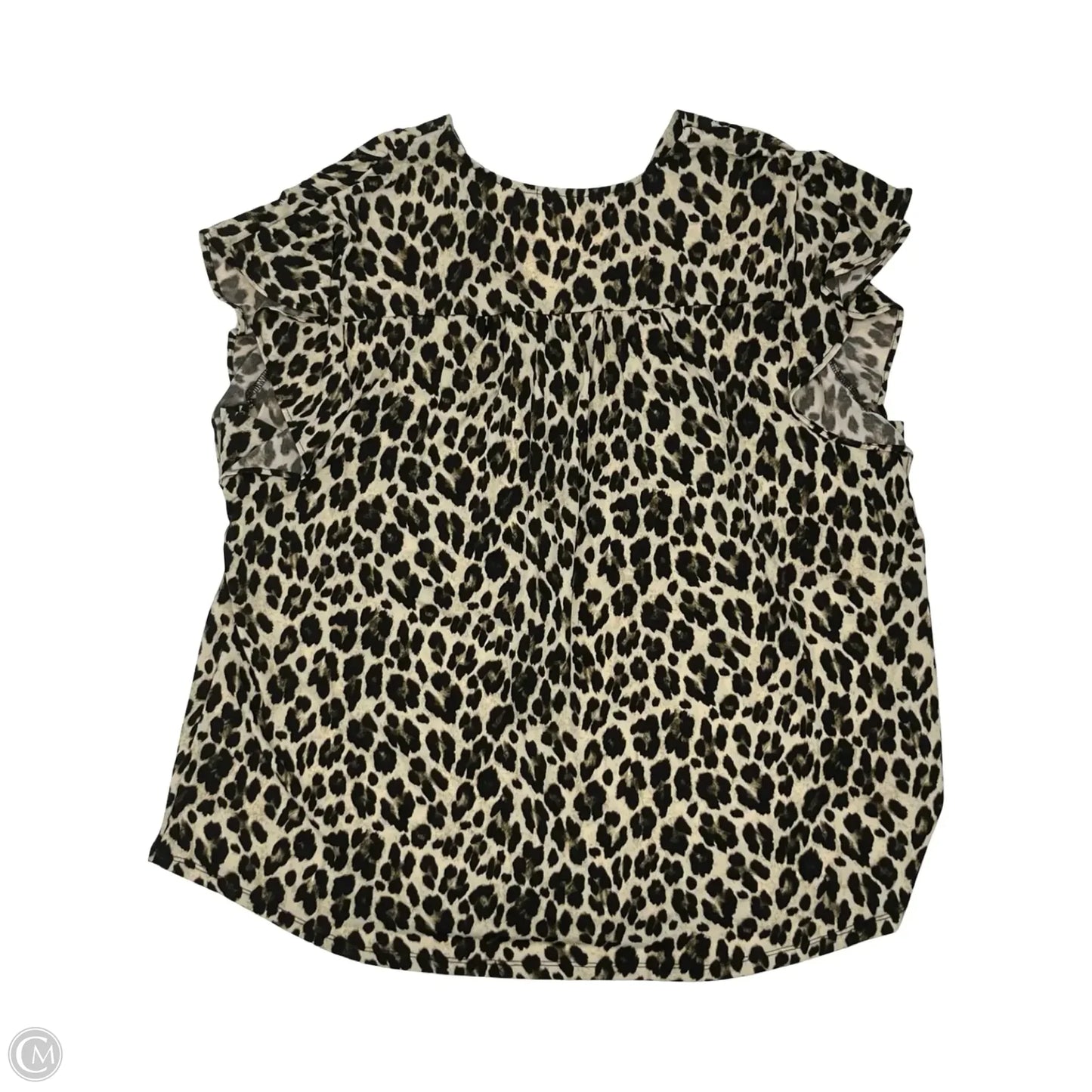 Blouse Short Sleeve By Chaus In Animal Print, Size: Xl