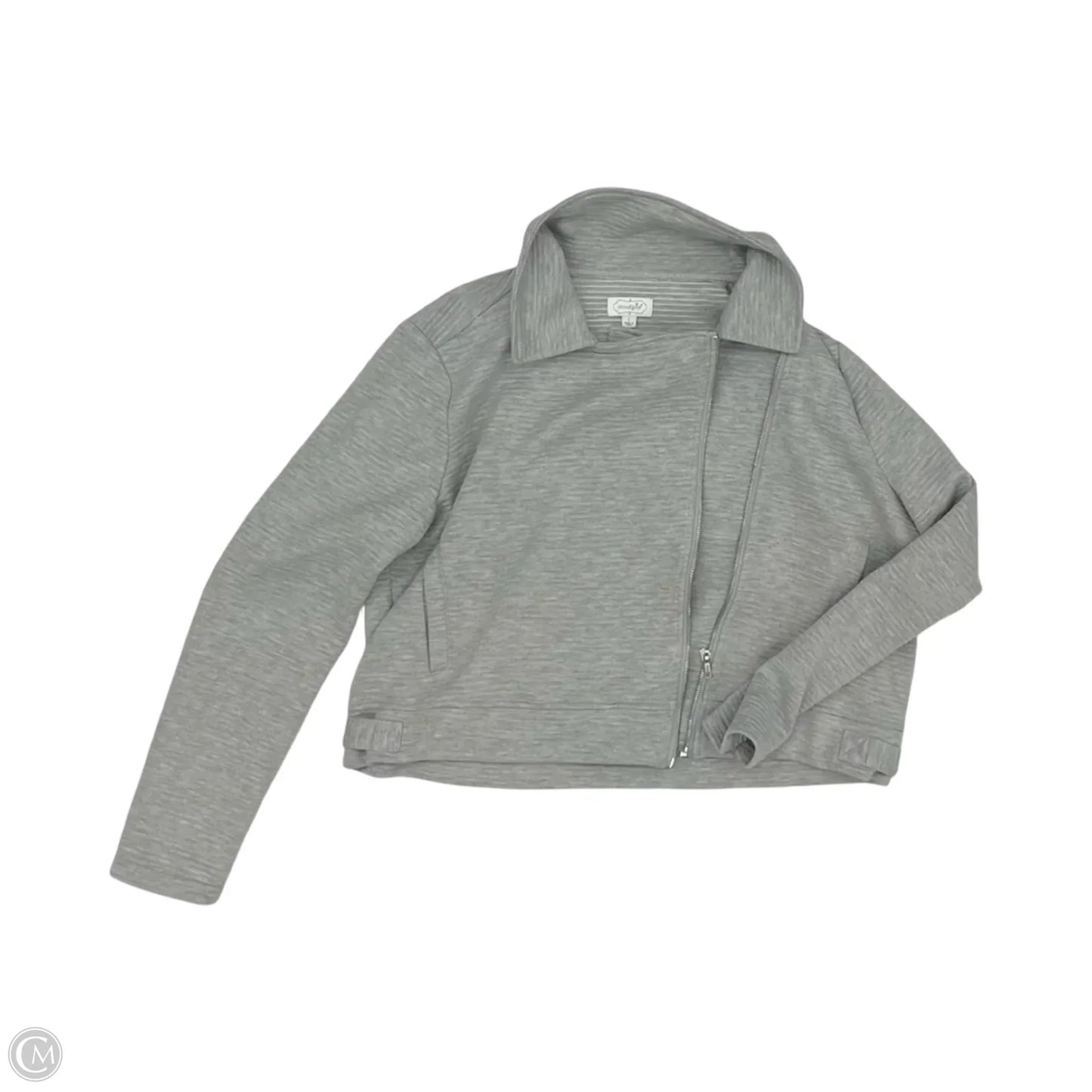 Jacket Other By Mudpie In Grey, Size: L