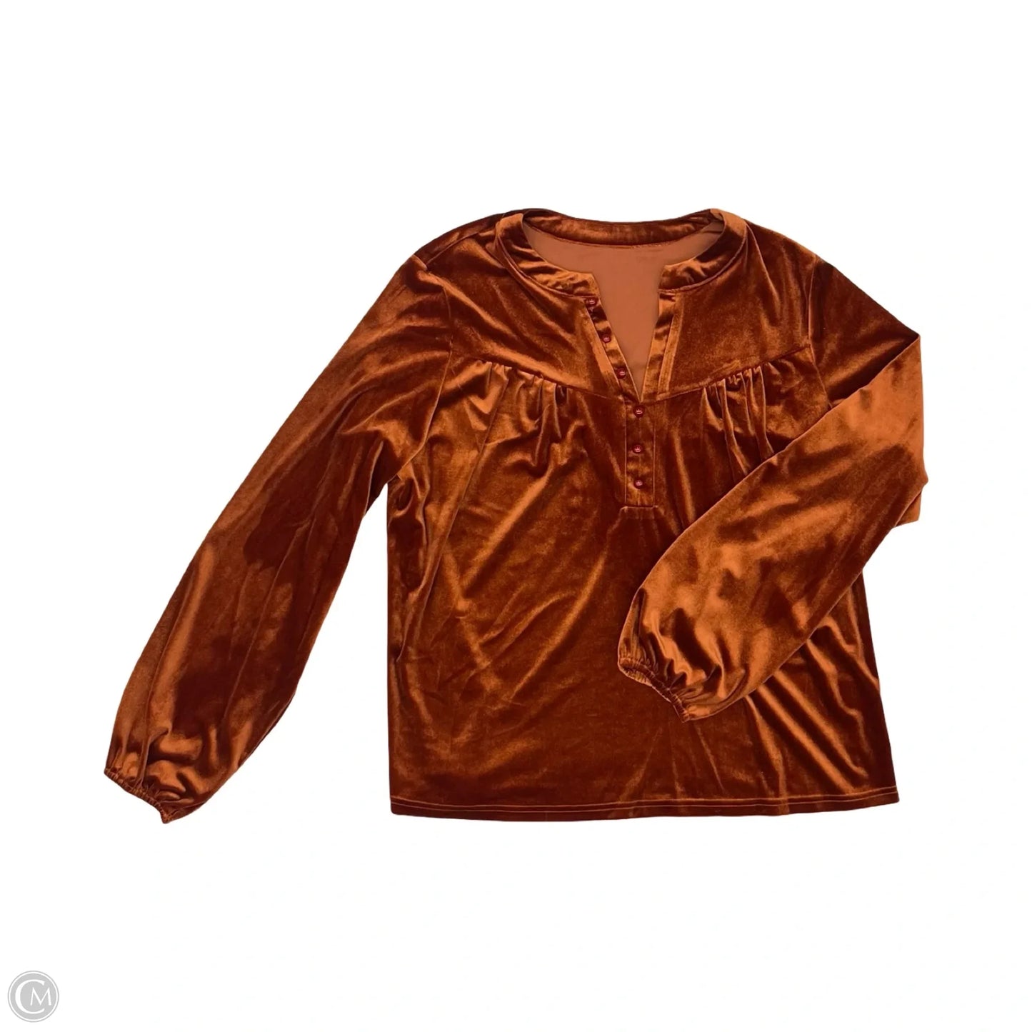 Blouse Long Sleeve By Clothes Mentor In Orange, Size: L