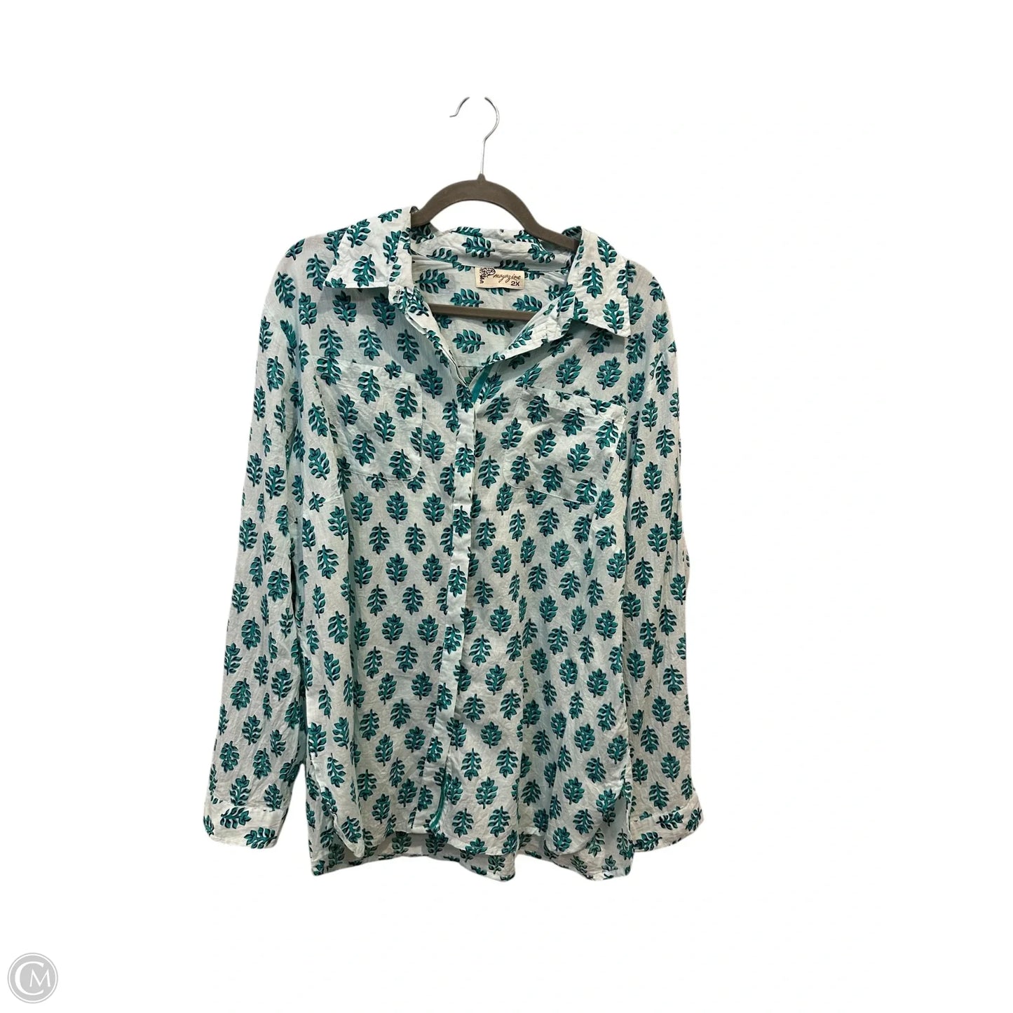 Blouse Long Sleeve By Clothes Mentor In Aqua, Size: 2x