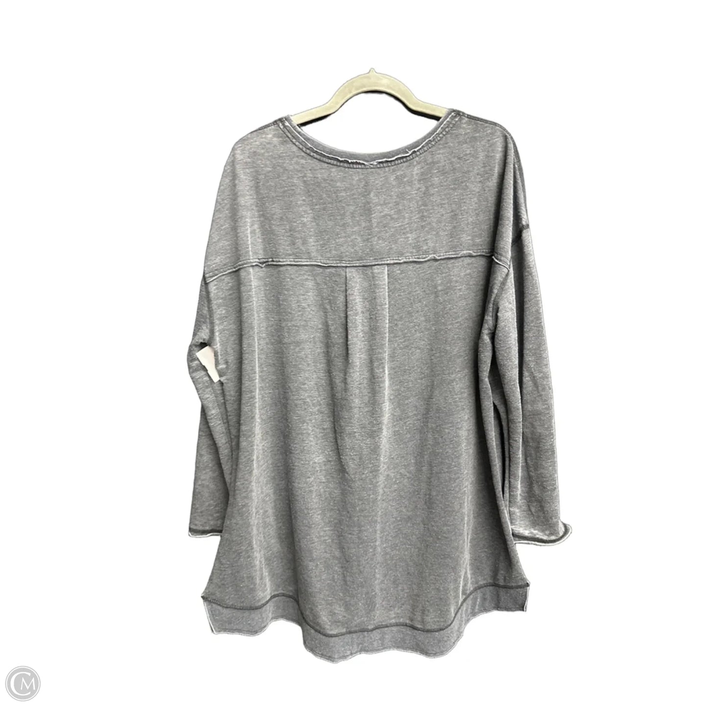 Top Long Sleeve By Z Supply In Grey, Size: Xl