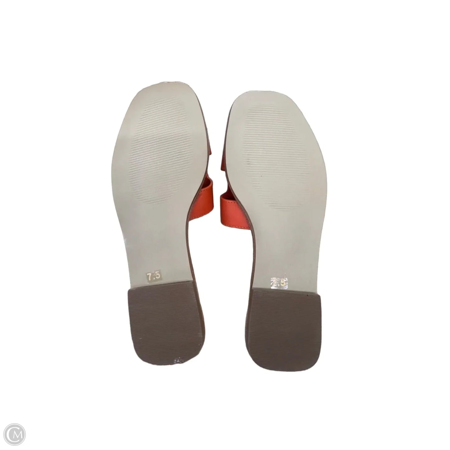 Sandals Flip Flops By Steve Madden In Orange, Size: 7.5