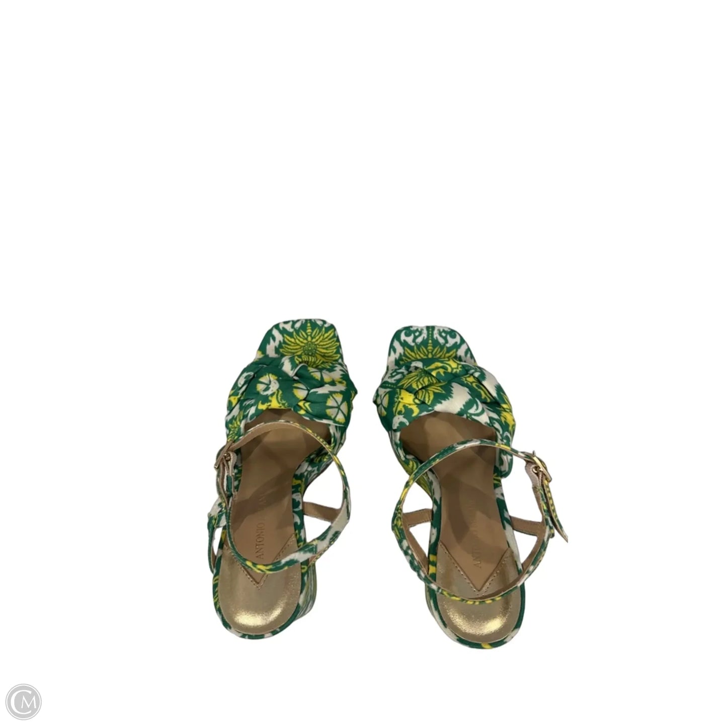 Shoes Heels Block By Antonio Melani In Floral Print, Size: 8