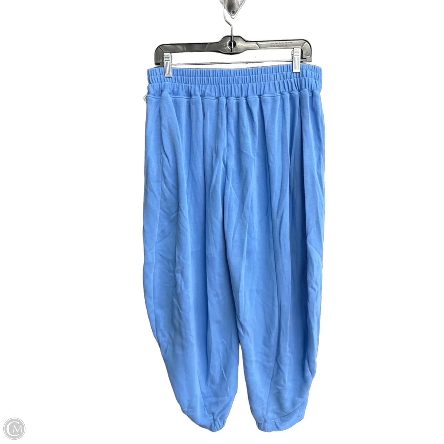 Pants Joggers By Daily Practice By Anthropologie In Blue, Size: 10