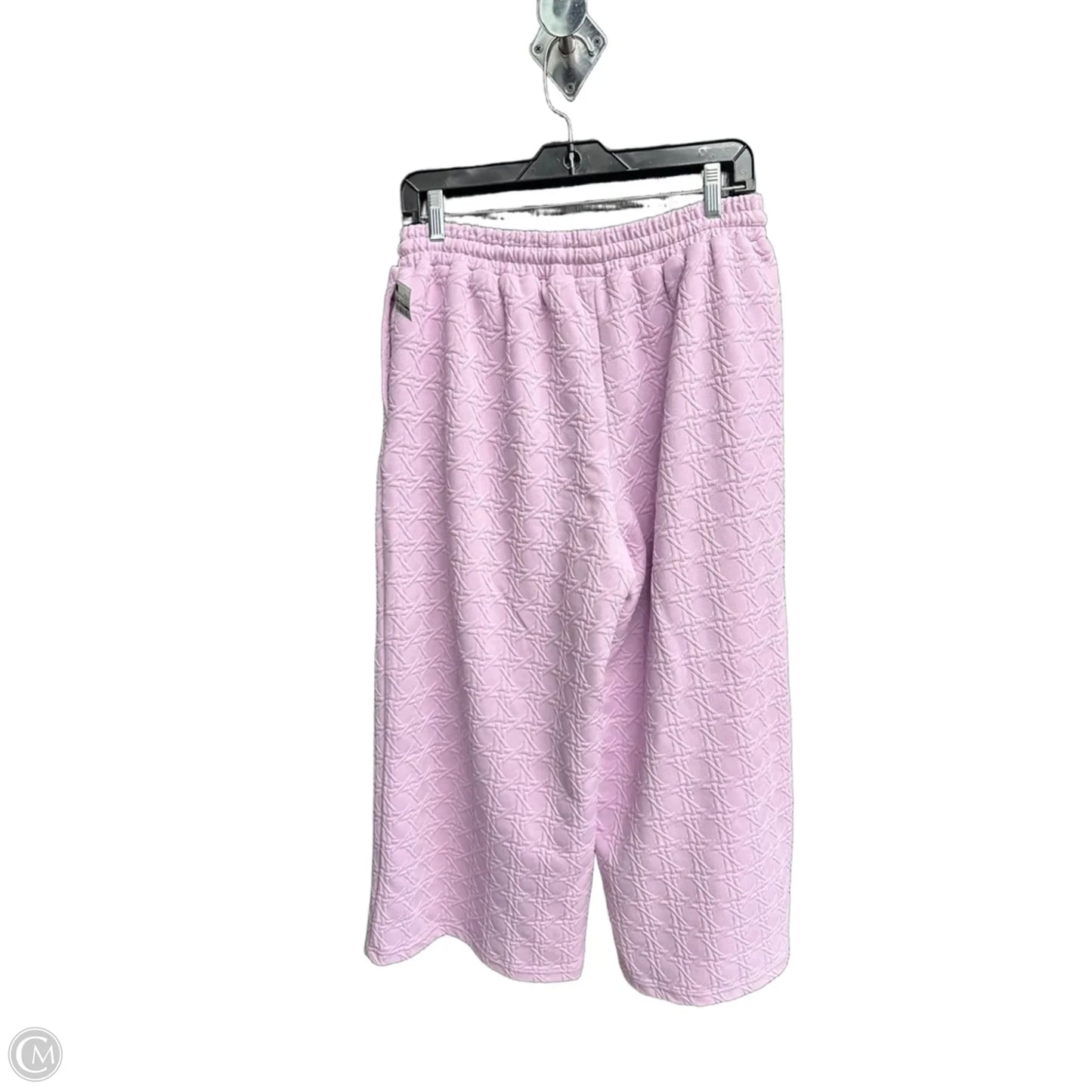 Pants Set 2pc By Clothes Mentor In Purple, Size: M