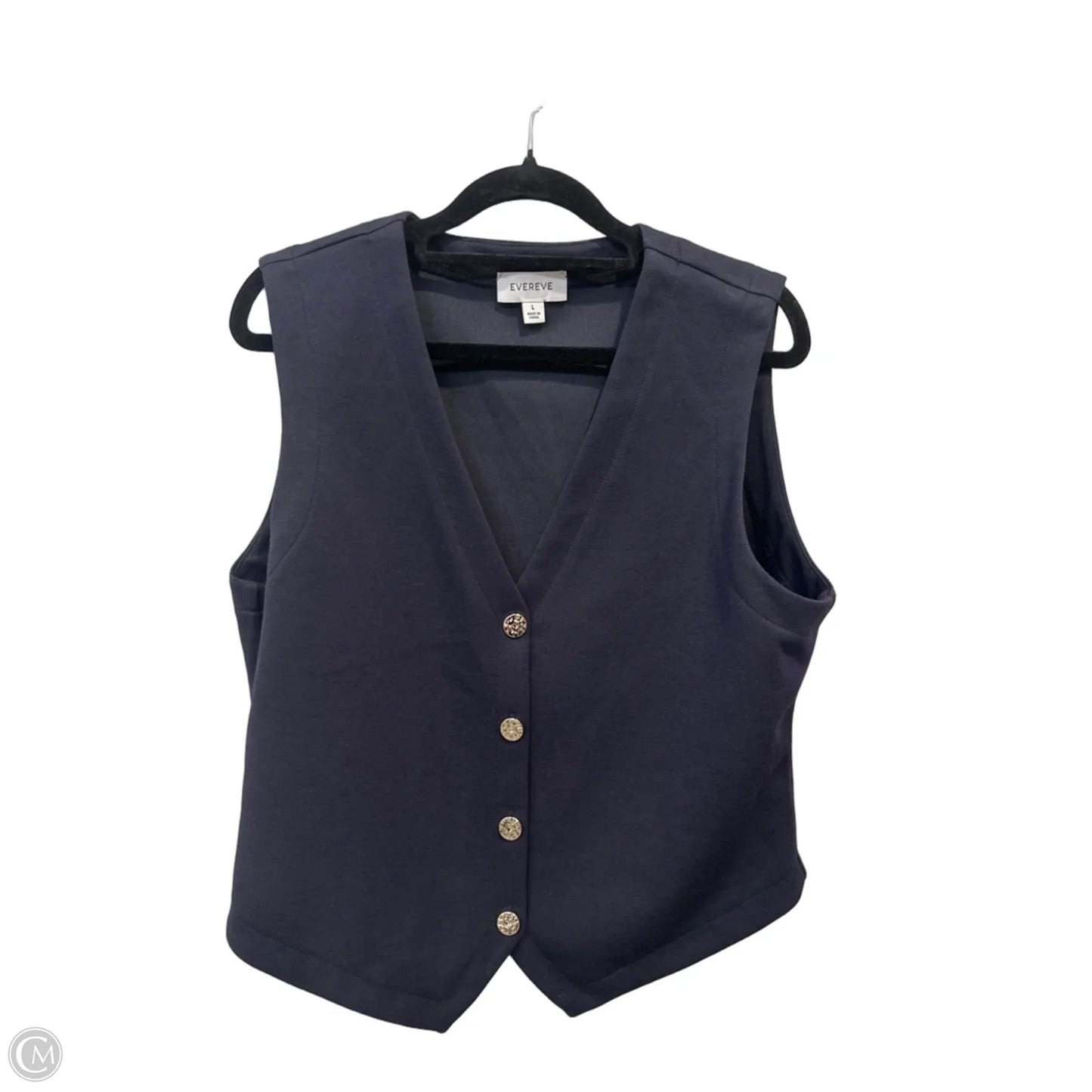 Top Sleeveless By Evereve In Blue & Silver, Size: L