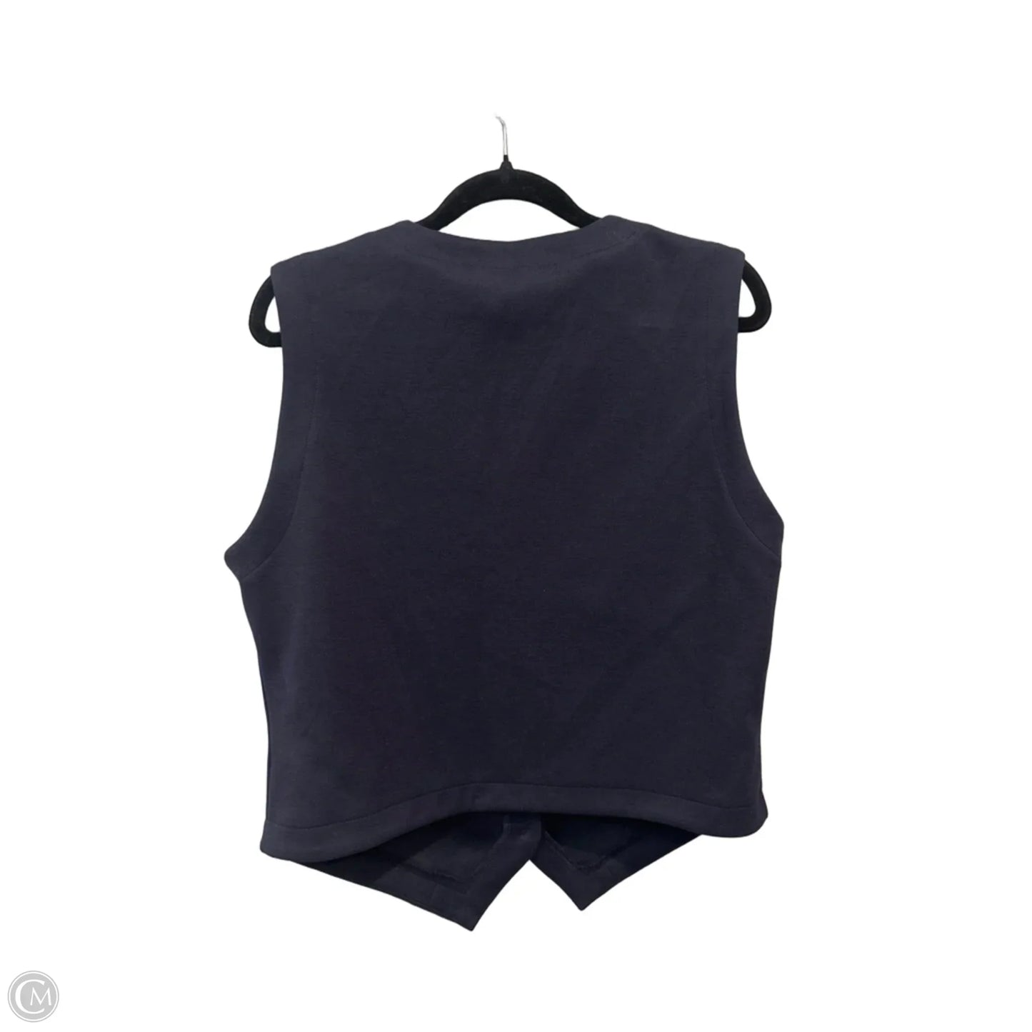 Top Sleeveless By Evereve In Blue & Silver, Size: L