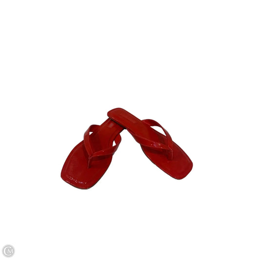 Sandals Flip Flops By Steve Madden In Orange, Size: 8.5