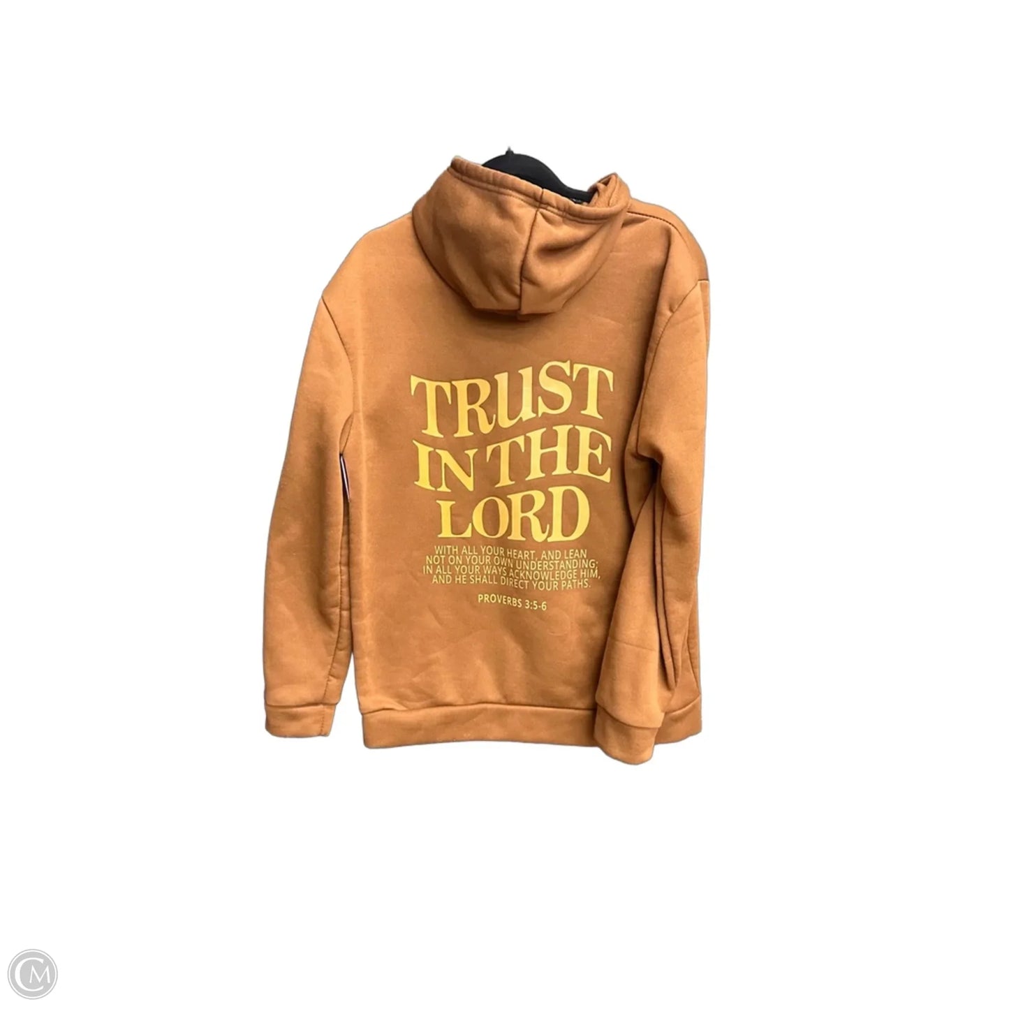 Sweatshirt Hoodie By Clothes Mentor In Brown, Size: L