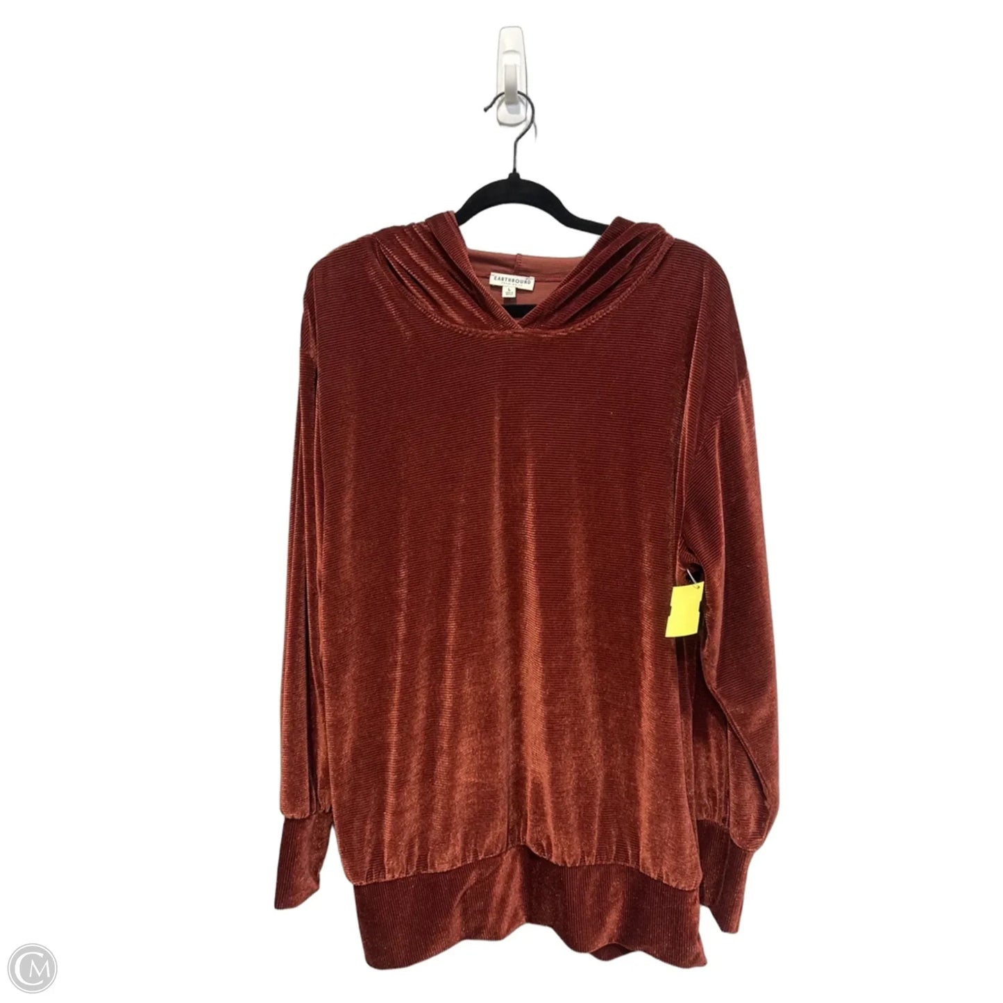 Sweatshirt Hoodie By Earthbound In Brown, Size: L