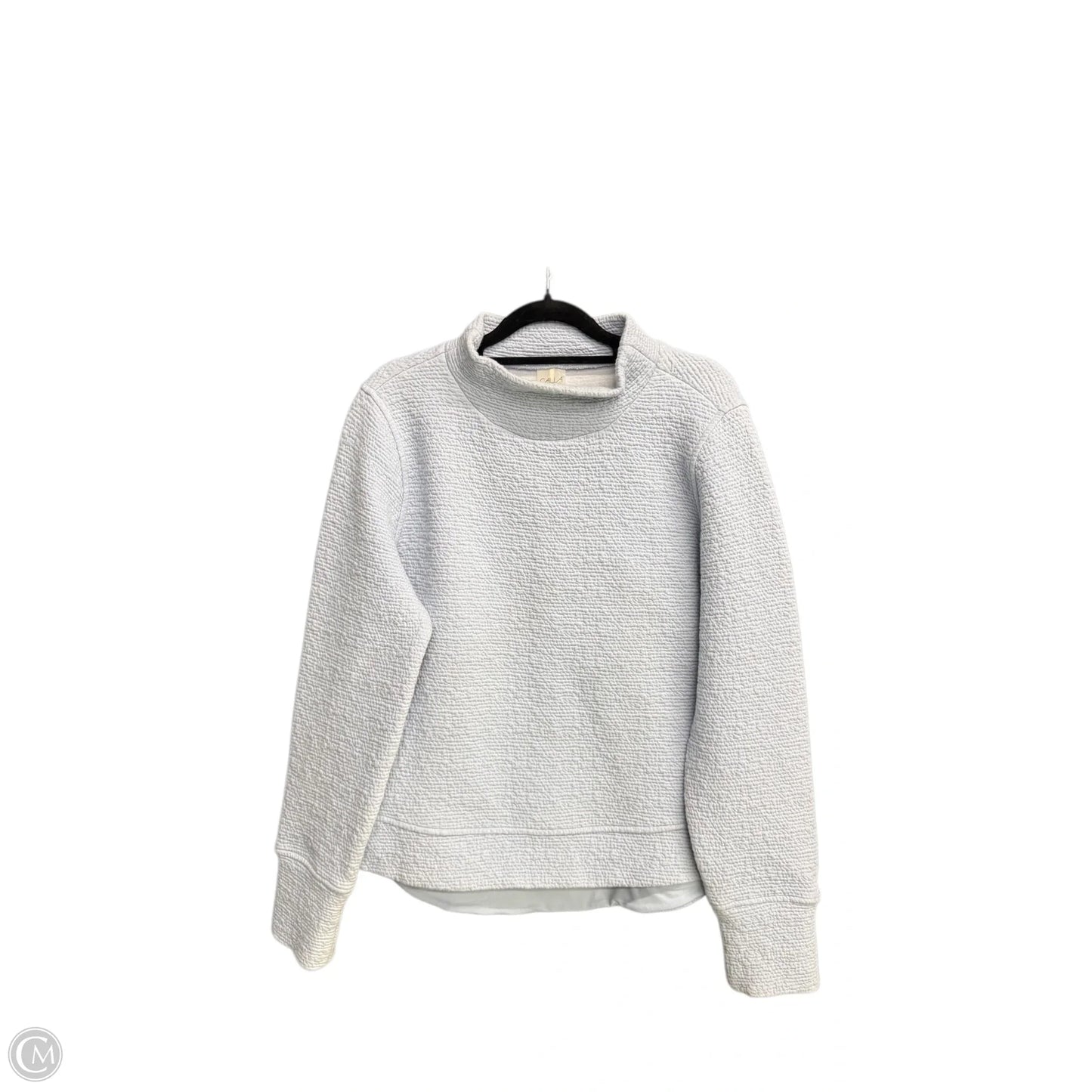 Athletic Sweatshirt Crewneck By Calia In Blue, Size: S