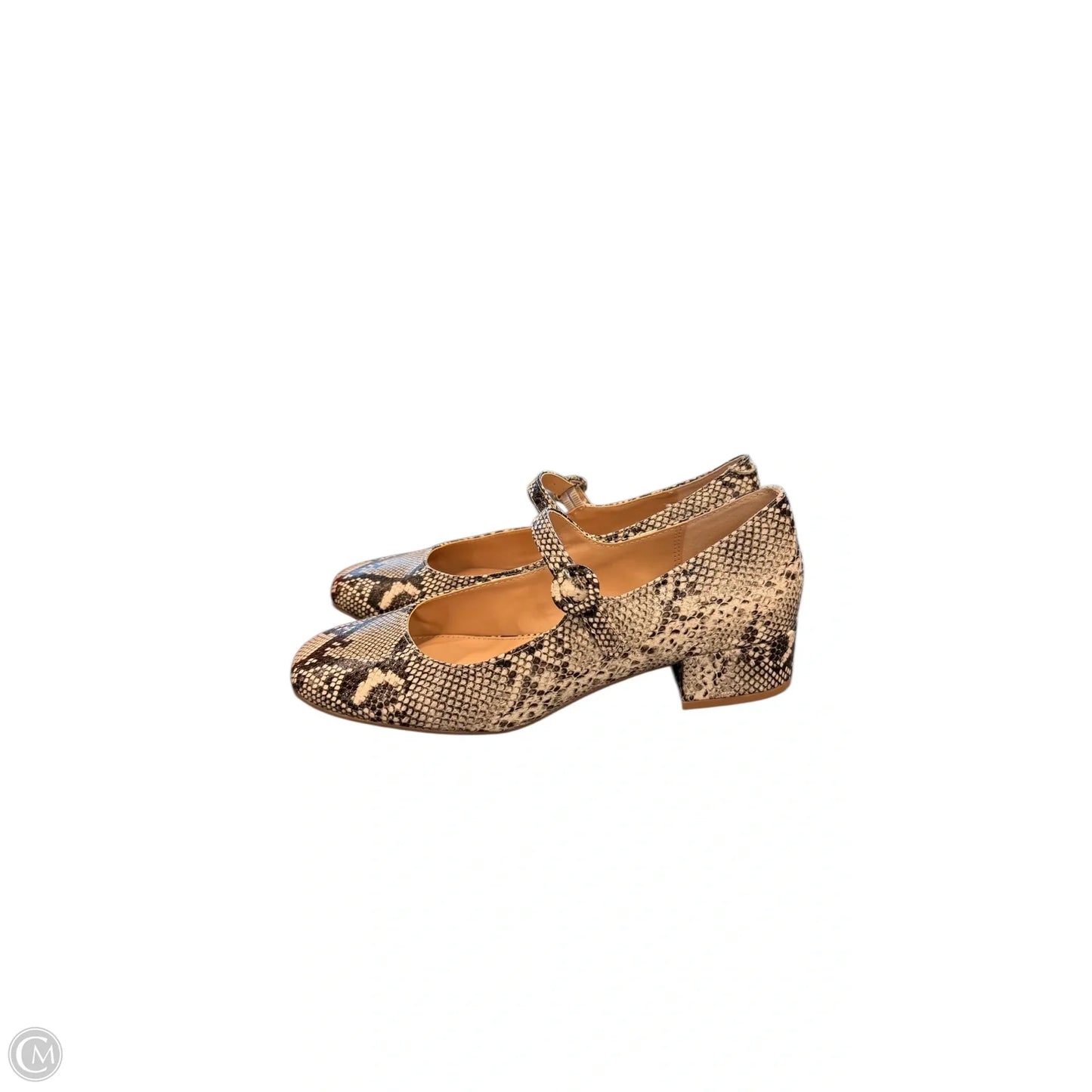 Shoes Flats By Steve Madden In Snakeskin Print, Size: 7.5