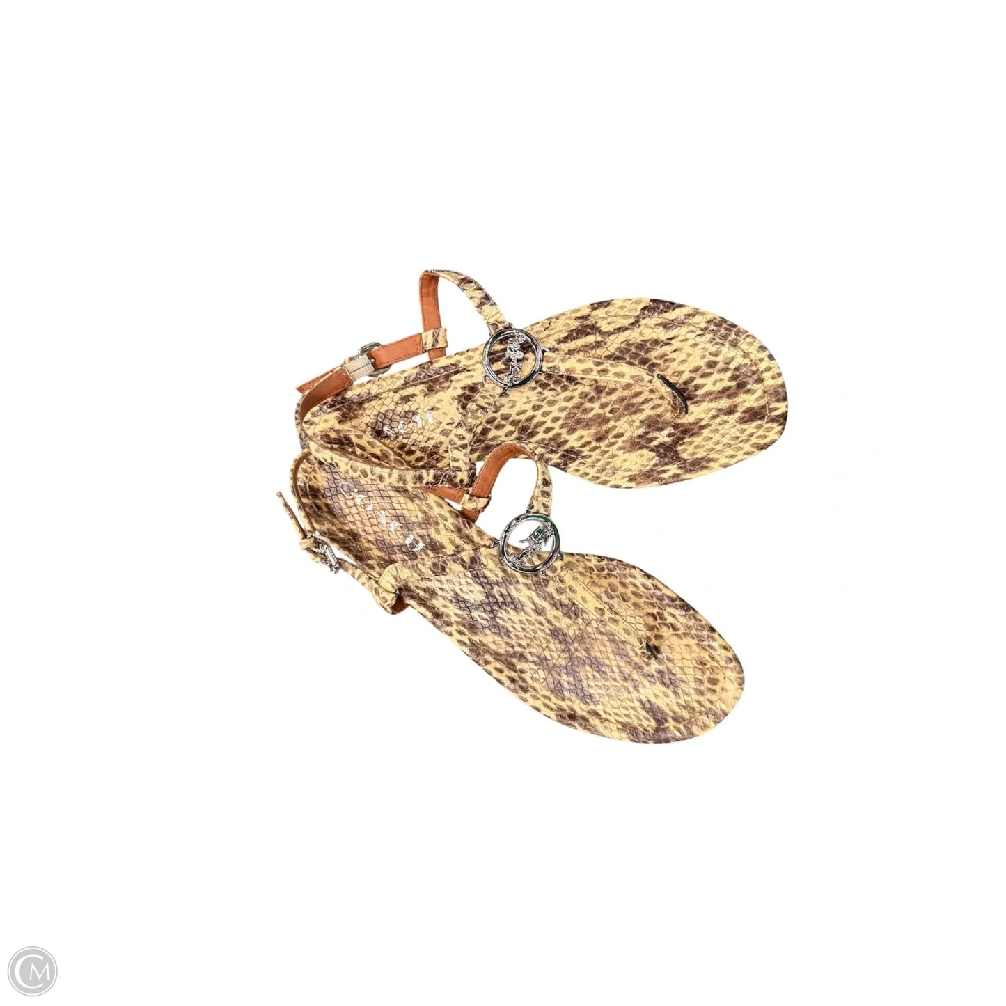 Sandals Designer By Coach In Snakeskin Print, Size: 7.5