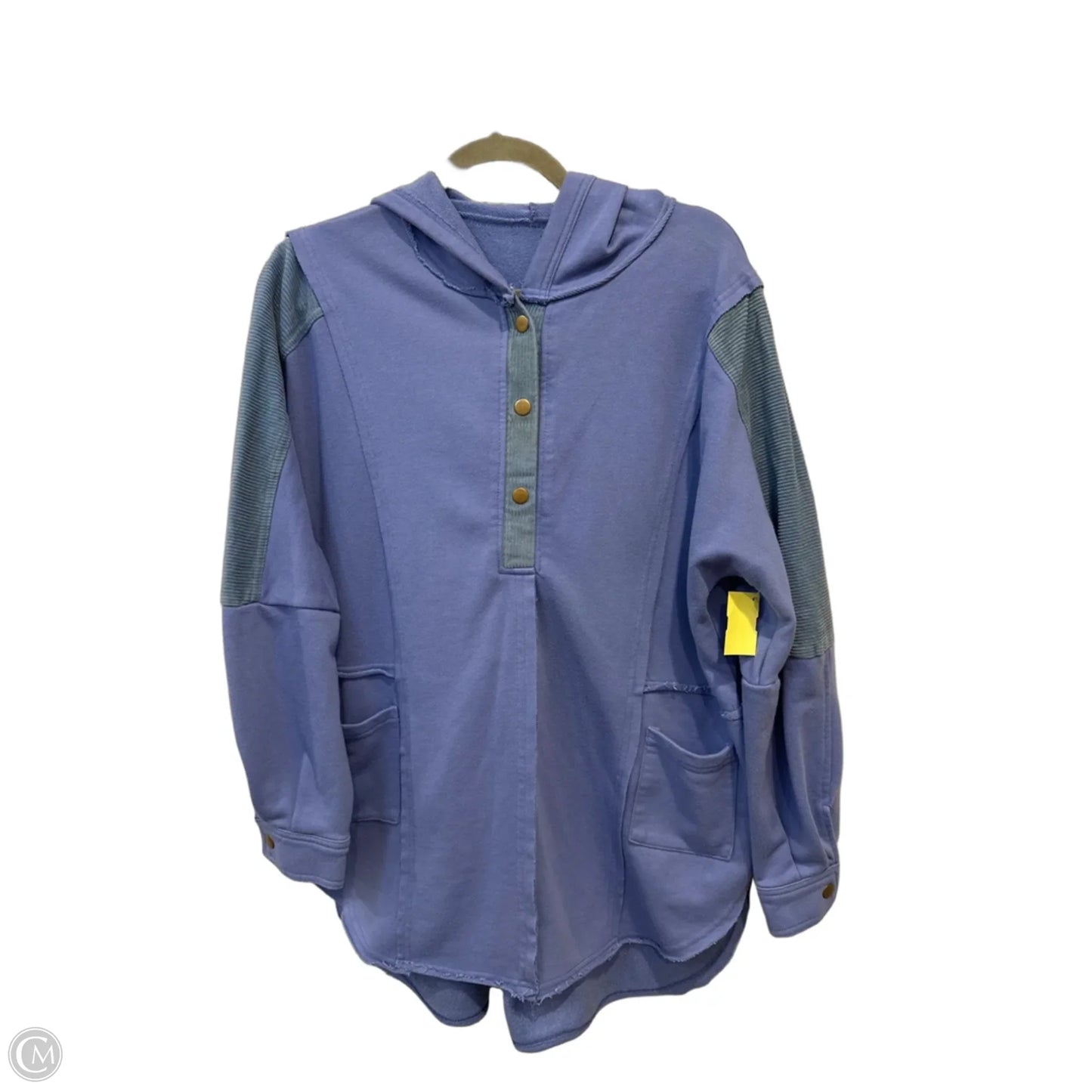 Sweatshirt Hoodie By Clothes Mentor In Purple, Size: M