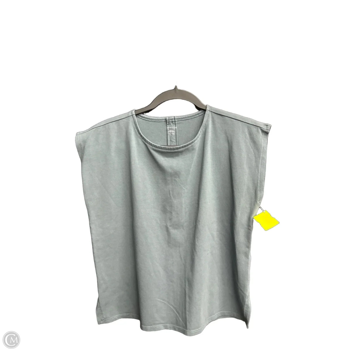 Top Sleeveless Basic By Eileen Fisher In Grey, Size: Xxs