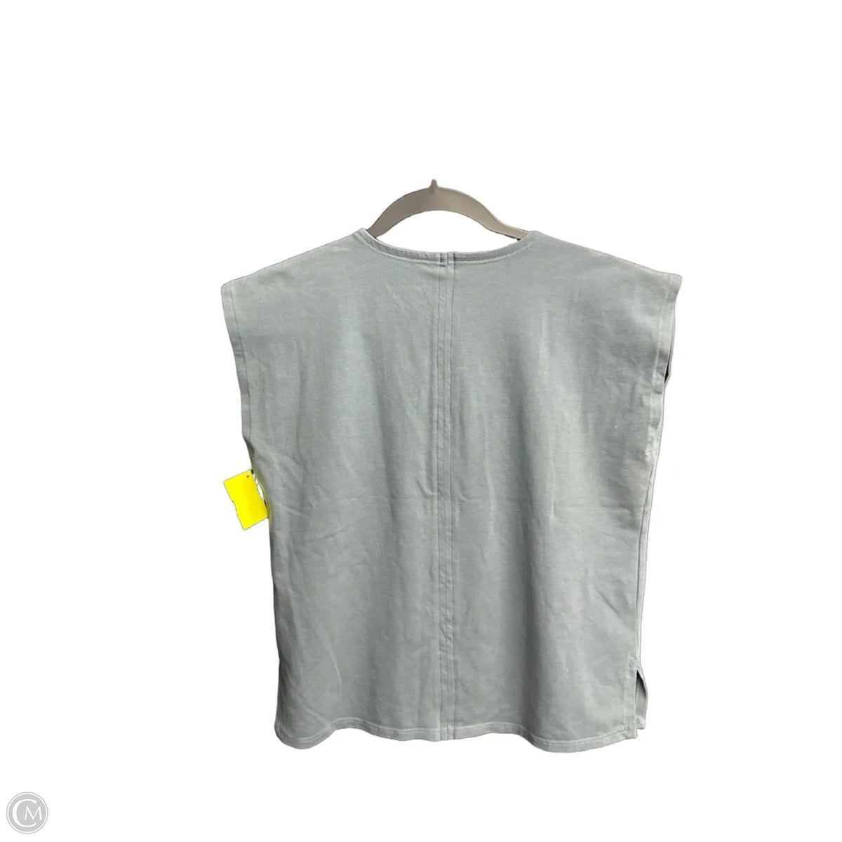Top Sleeveless Basic By Eileen Fisher In Grey, Size: Xxs
