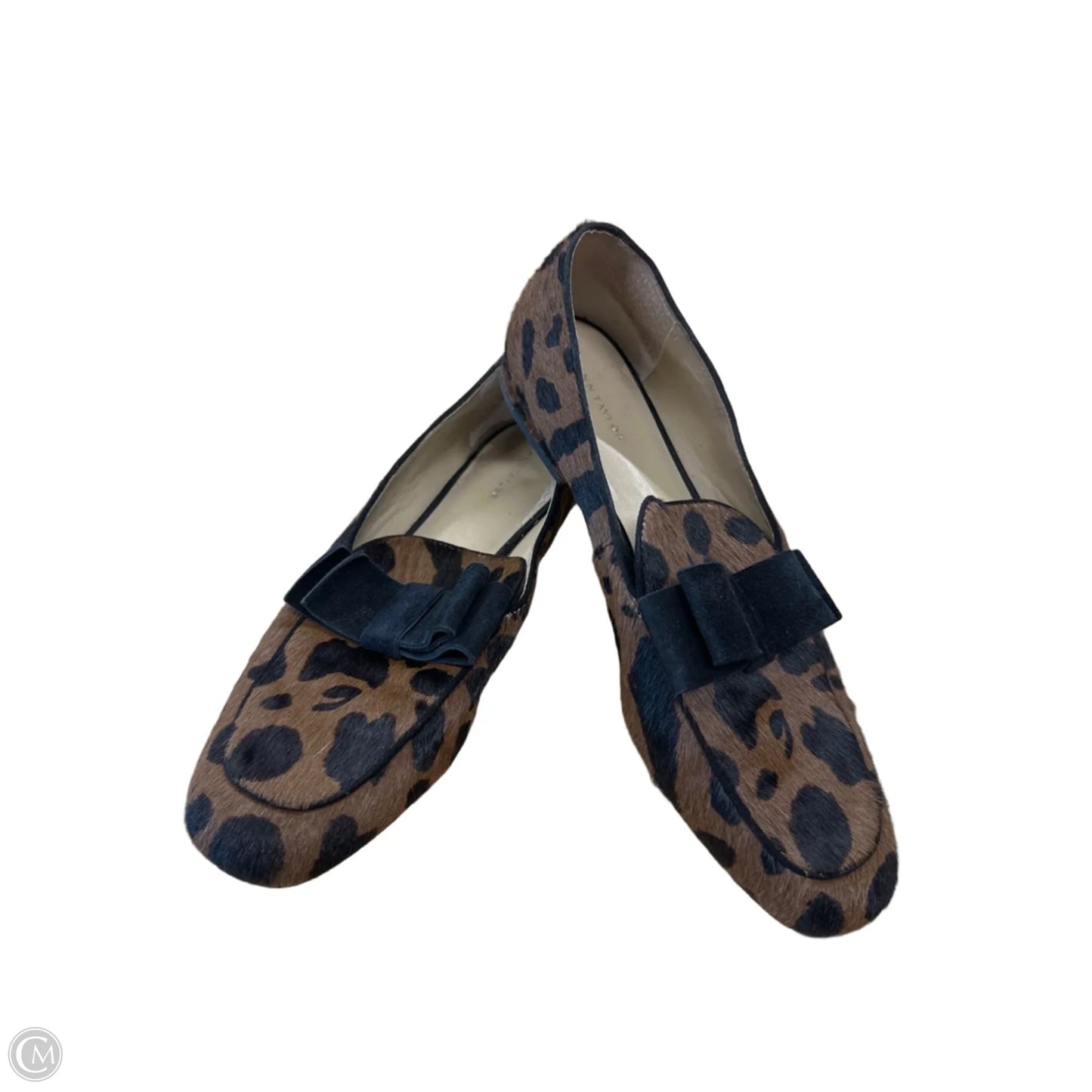 Shoes Flats By Ann Taylor In Animal Print, Size: 8.5