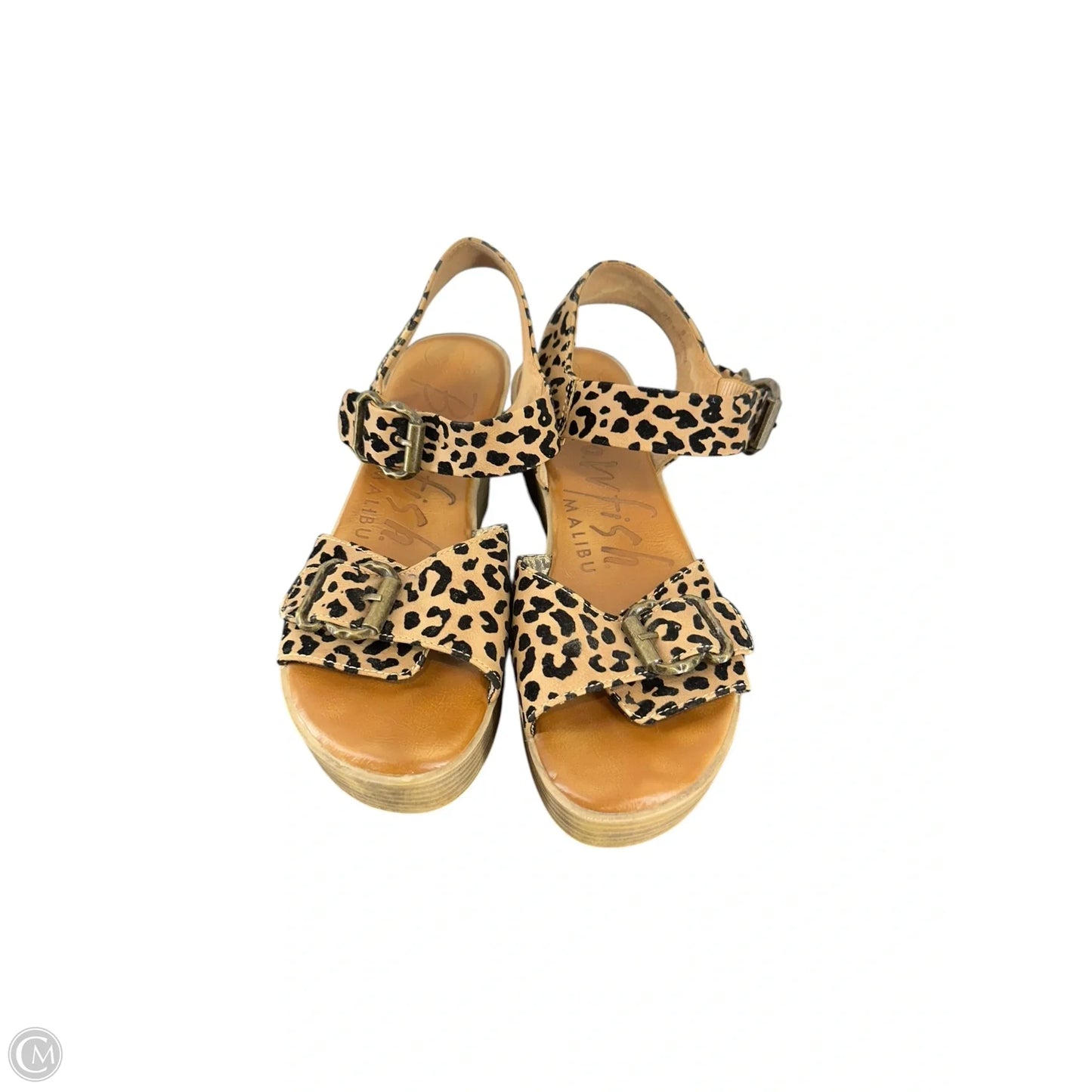 Sandals Flats By Blowfish In Animal Print, Size: 8
