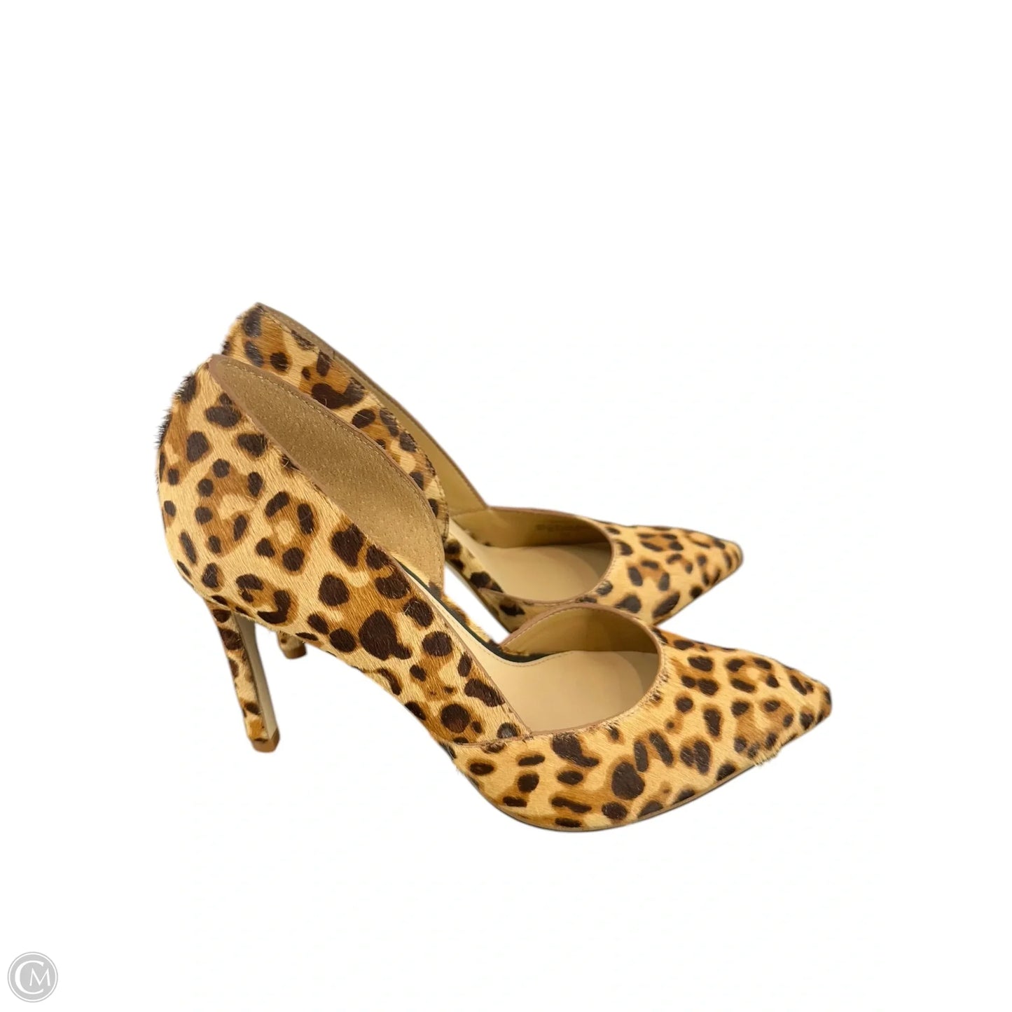 Shoes Heels Stiletto By Gianni Bini In Animal Print, Size: 7