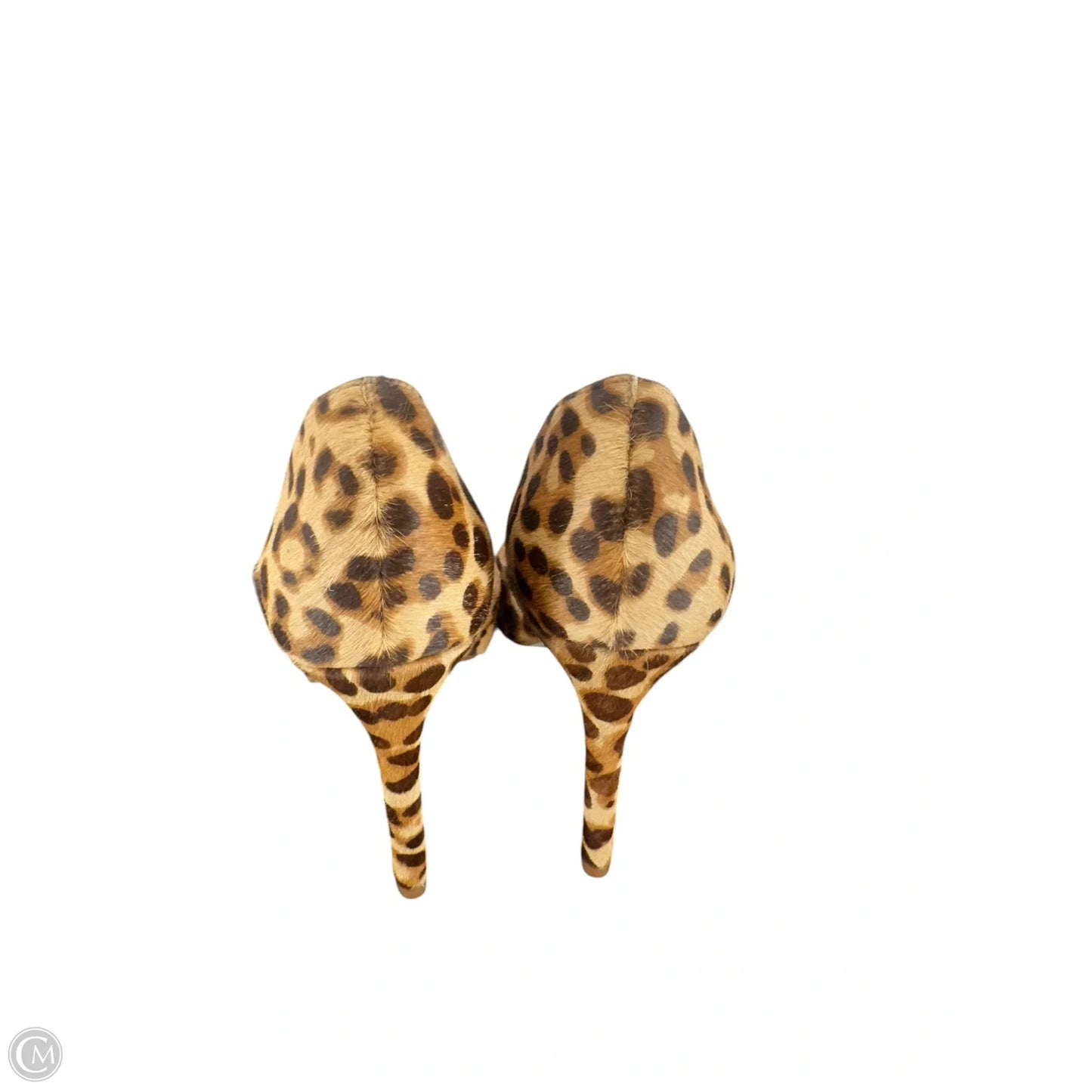 Shoes Heels Stiletto By Gianni Bini In Animal Print, Size: 7