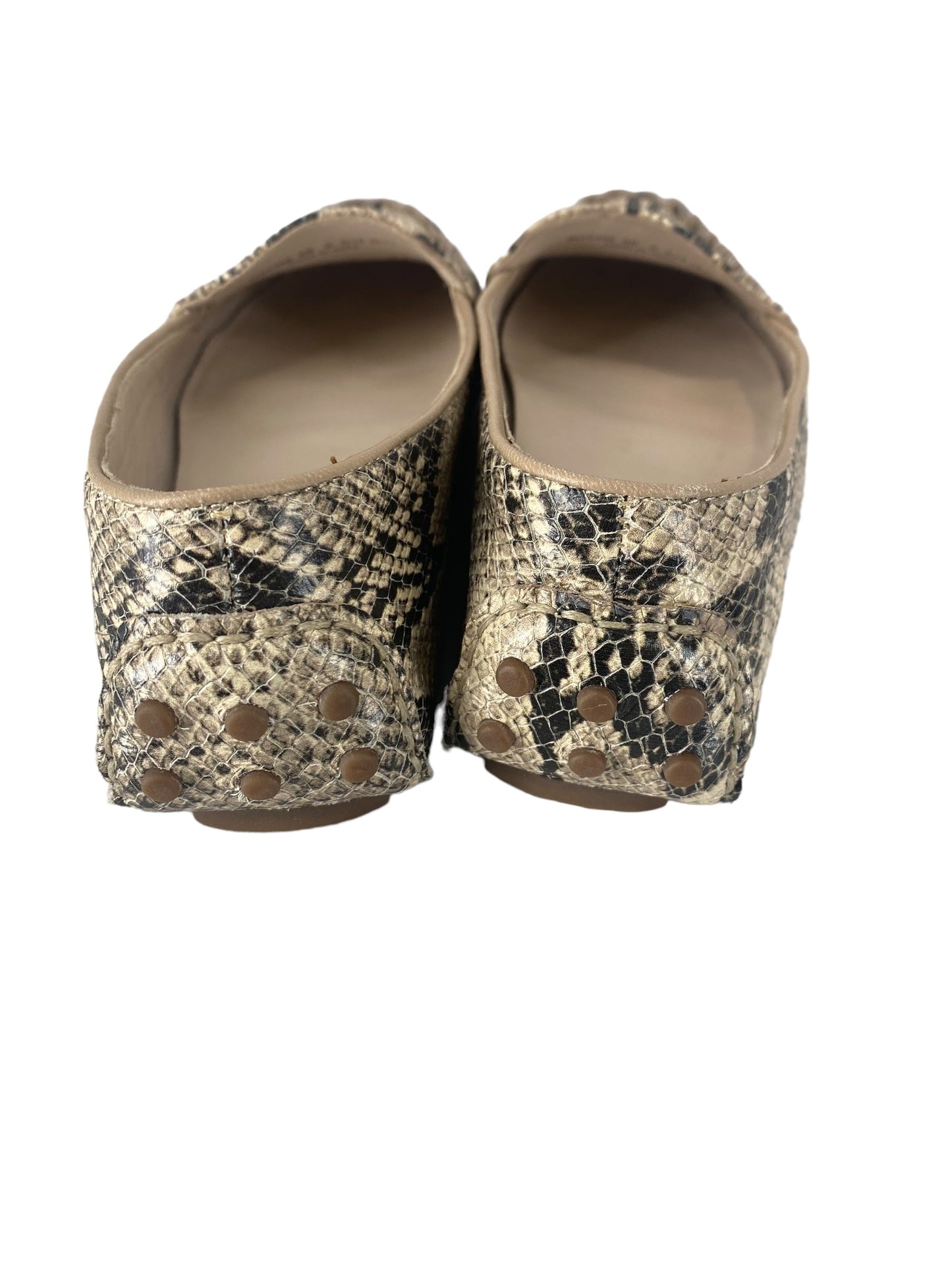 Snakeskin Print Shoes Flats Cole-haan, Size 6