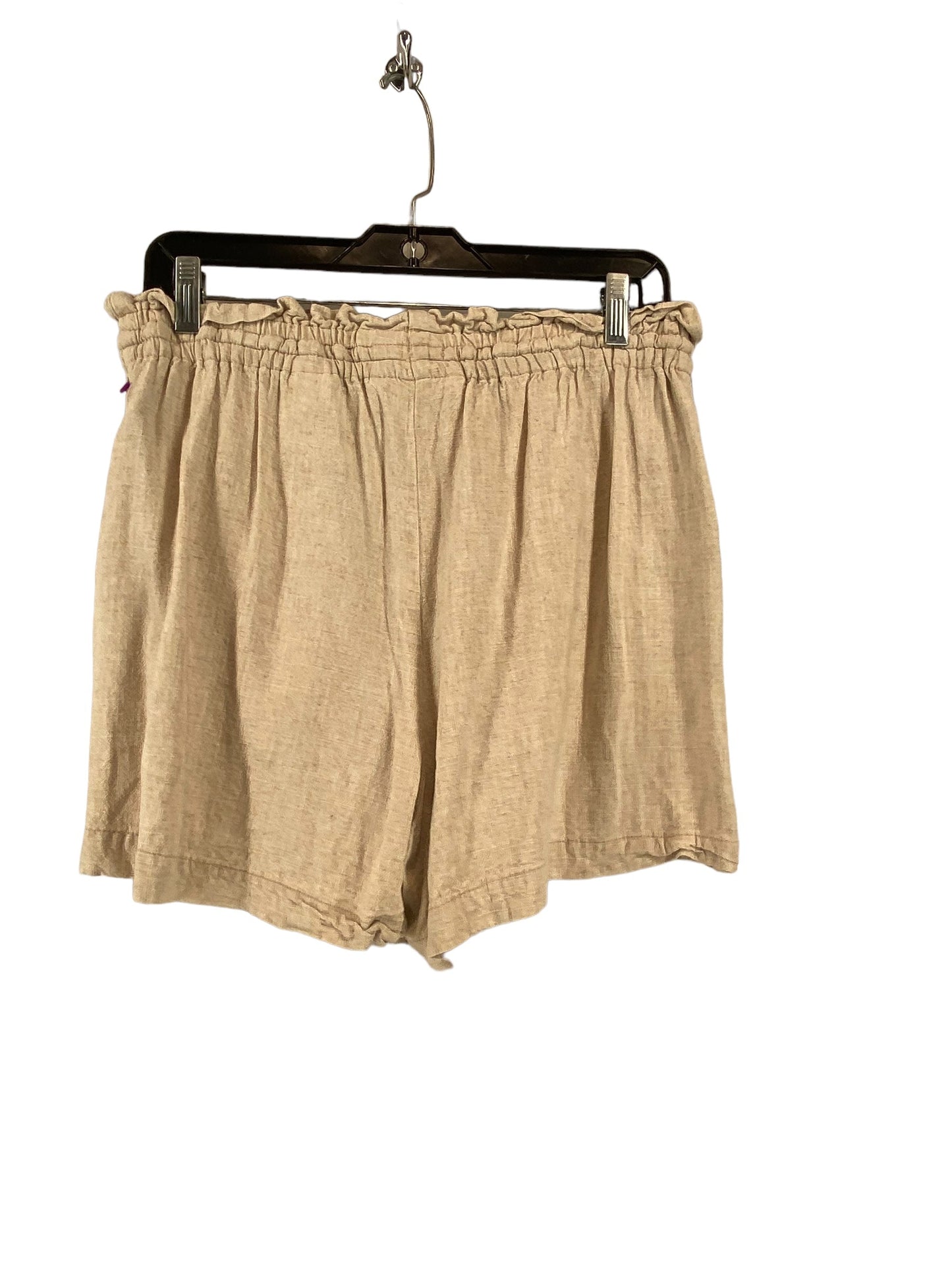 Shorts By H&m  Size: M
