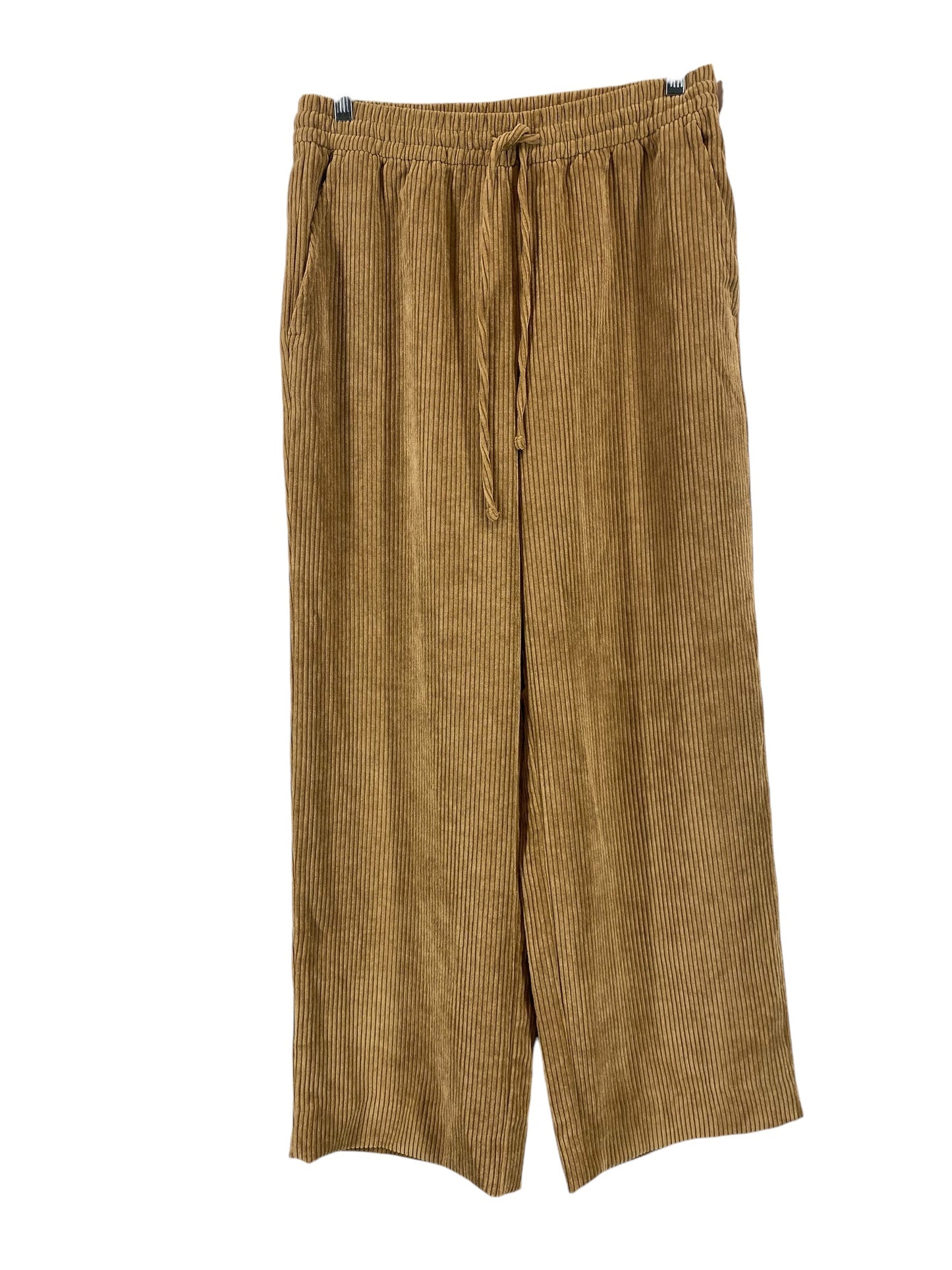 Pants Corduroy By Gap In Brown, Size: S