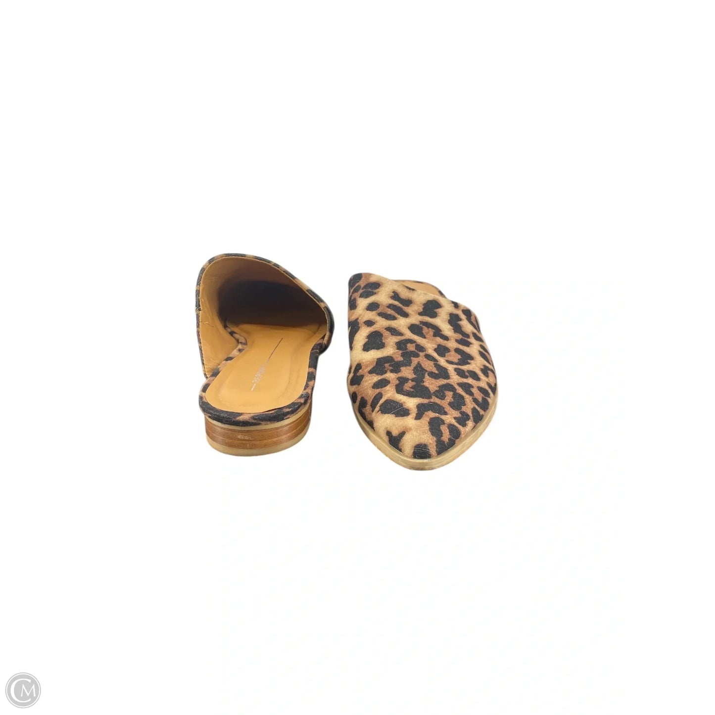 Shoes Flats By Report In Animal Print, Size: 9