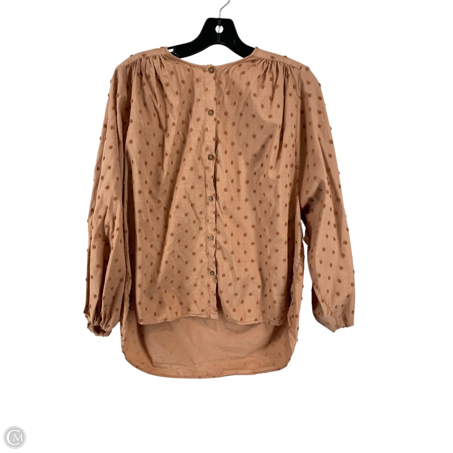 Top Long Sleeve By Zara In Brown, Size: Xs