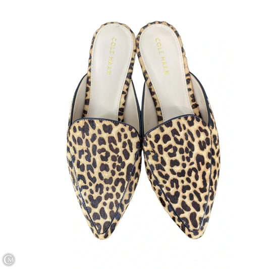 Shoes Flats By Cole-haan In Animal Print, Size: 6.5