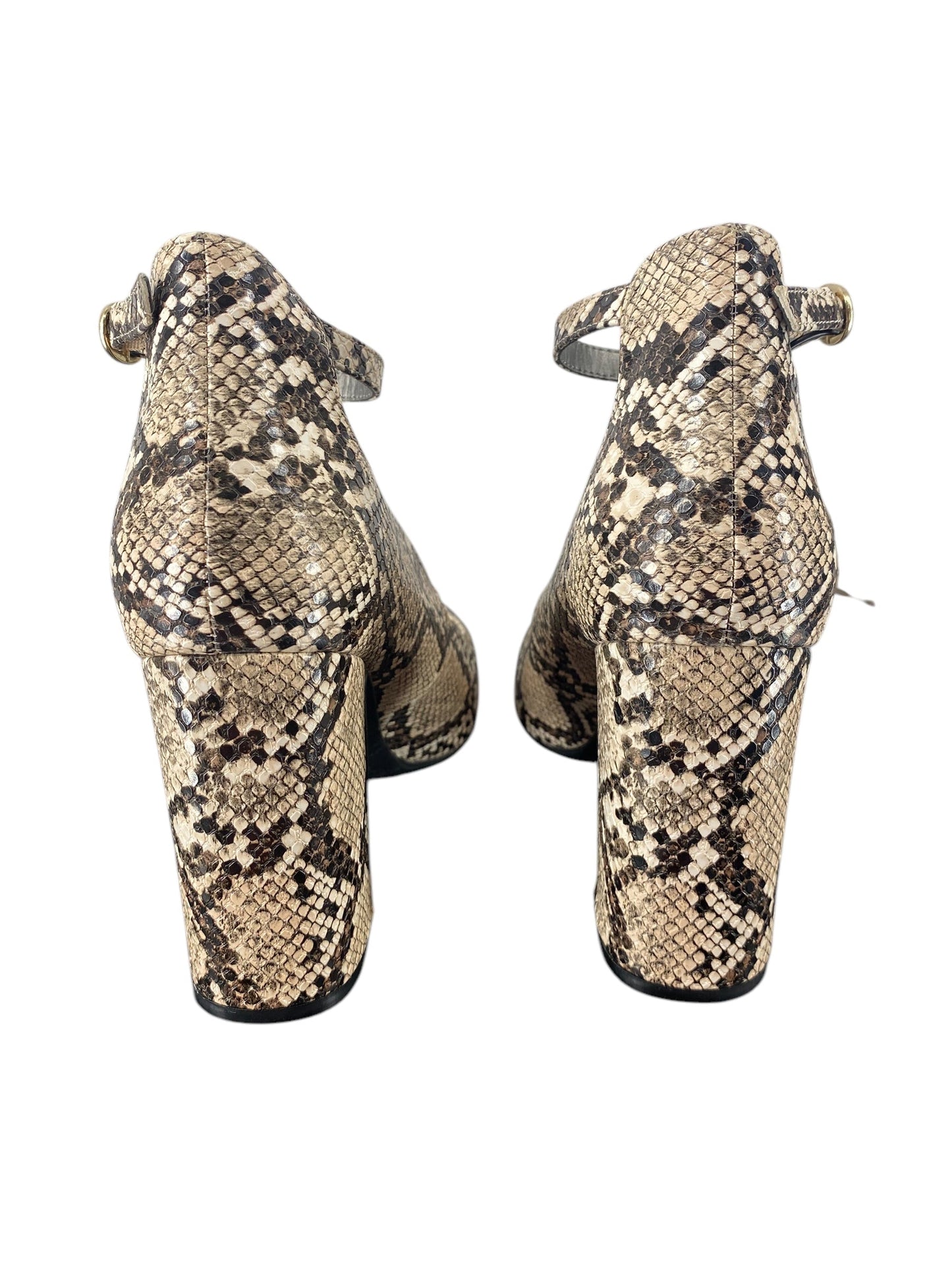 Shoes Heels Block By Windsor In Snakeskin Print, Size: 10