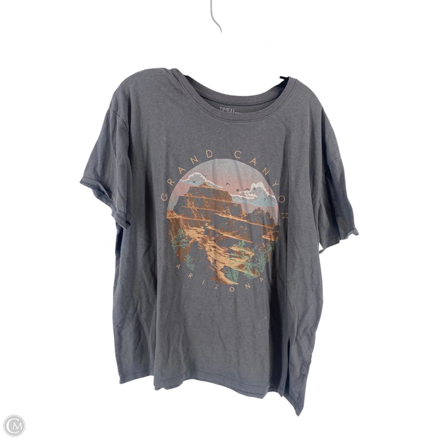 Top Short Sleeve By Time And Tru In Grey, Size: 3x