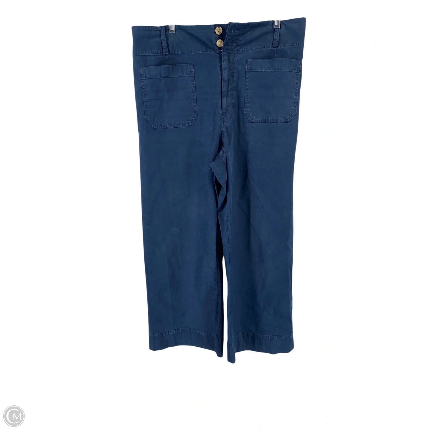 Pants Other By Clothes Mentor In Navy, Size: 14