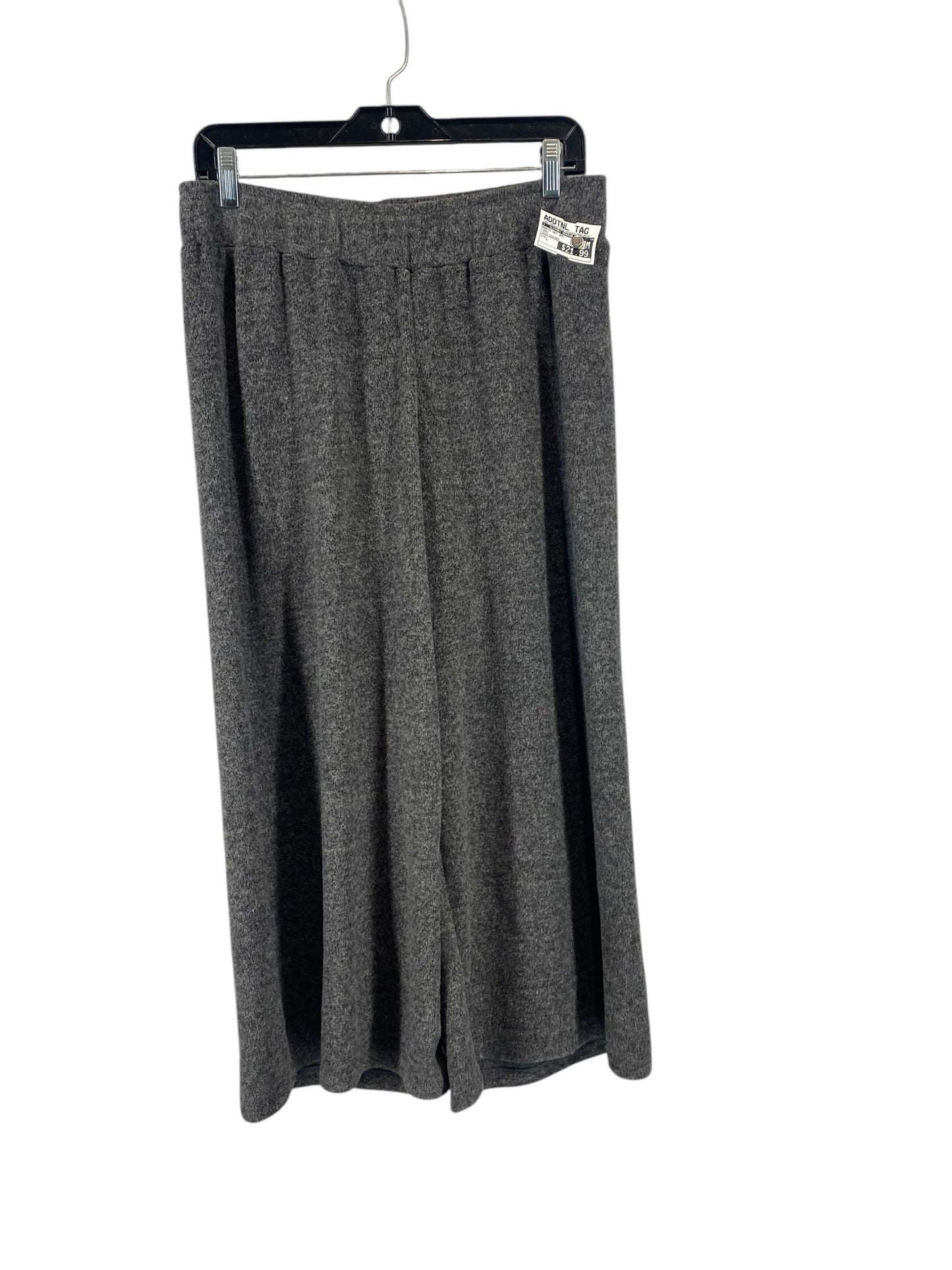 Pants Set 2pc By Clothes Mentor In Grey, Size: L