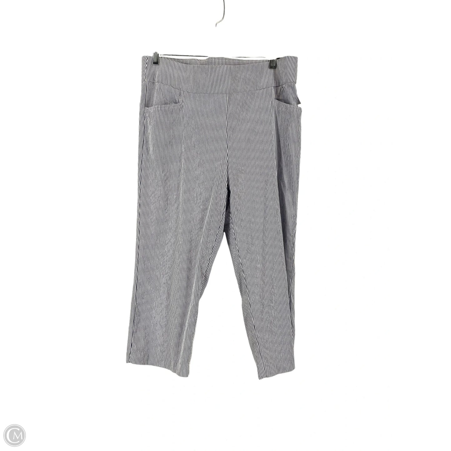 Pants Cargo & Utility By Counterparts In Blue, Size: L