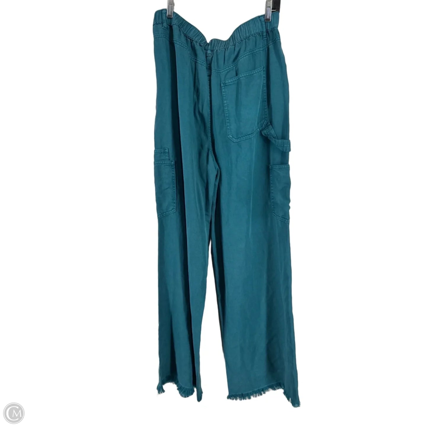 Pants Cargo & Utility By Clothes Mentor In Blue, Size: M