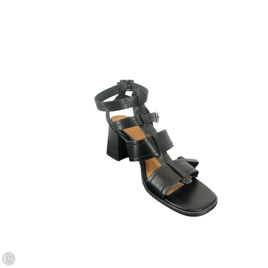 Shoes Heels Block By Steve Madden In Black, Size: 8