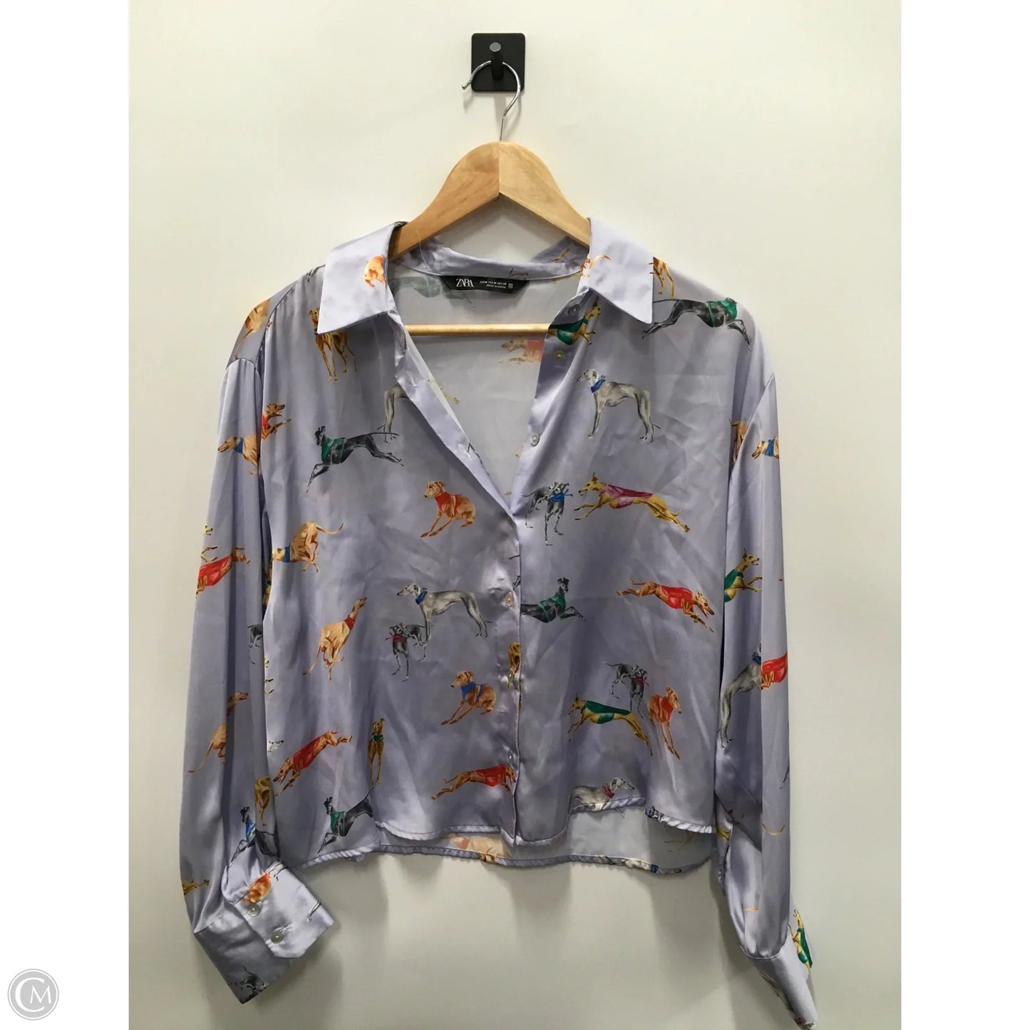 Top Long Sleeve By Zara In Purple, Size: M