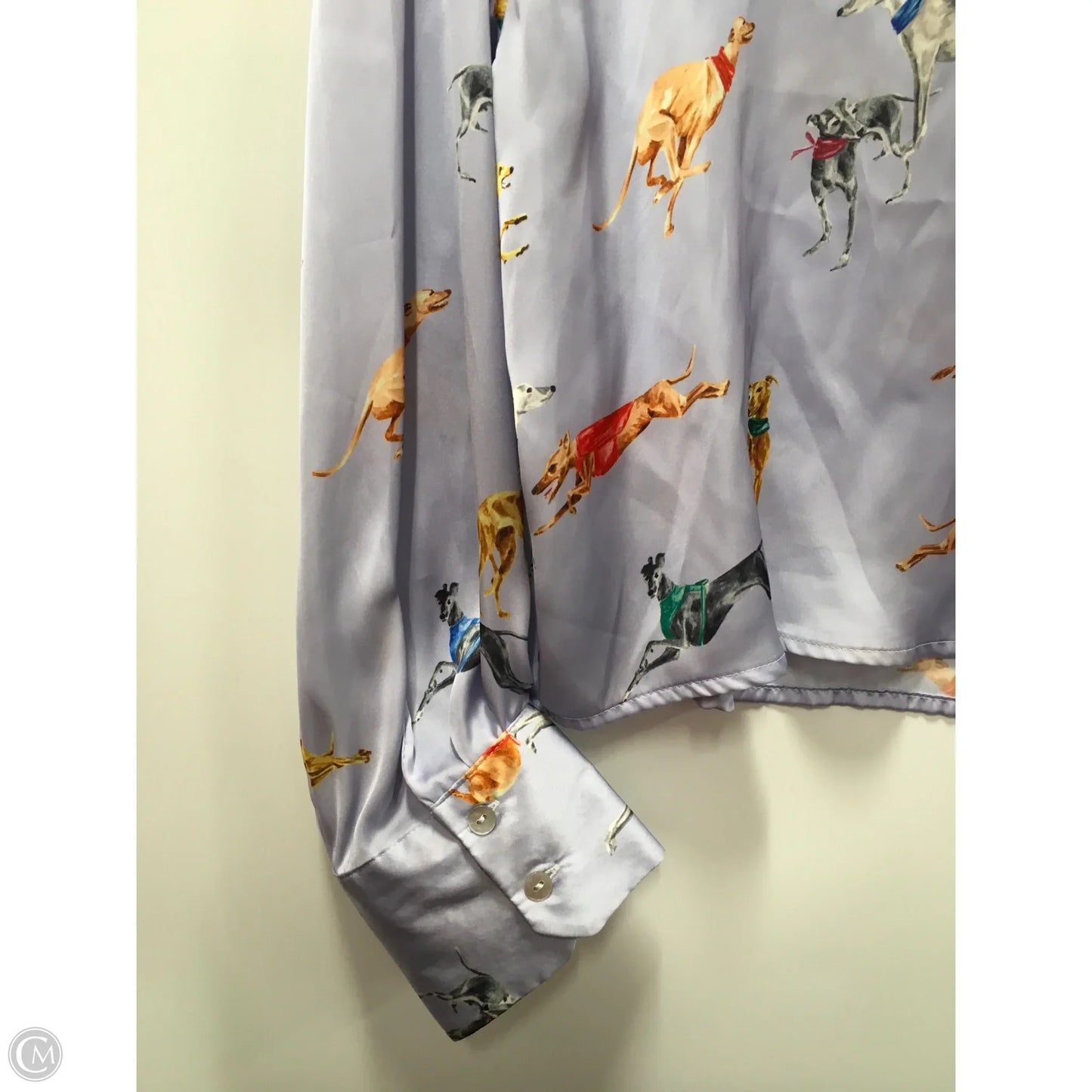 Top Long Sleeve By Zara In Purple, Size: M