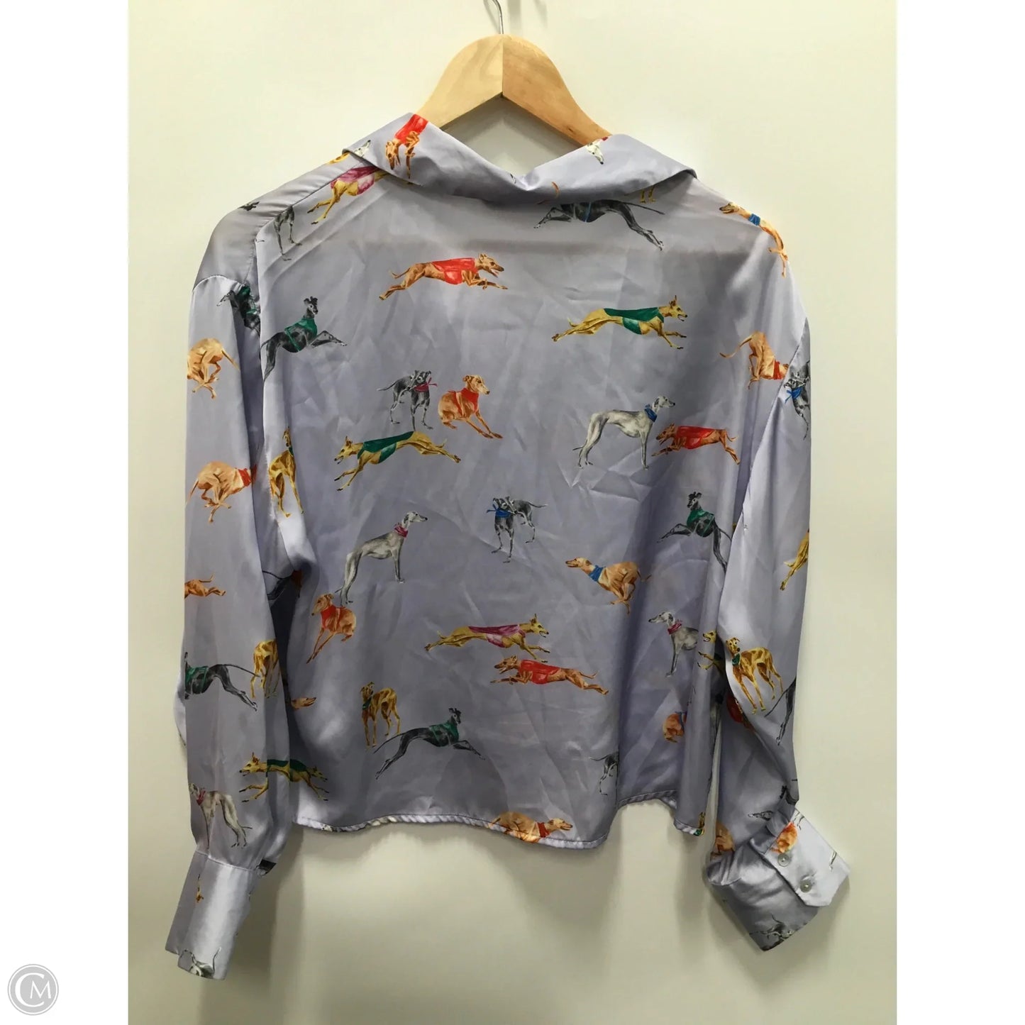 Top Long Sleeve By Zara In Purple, Size: M