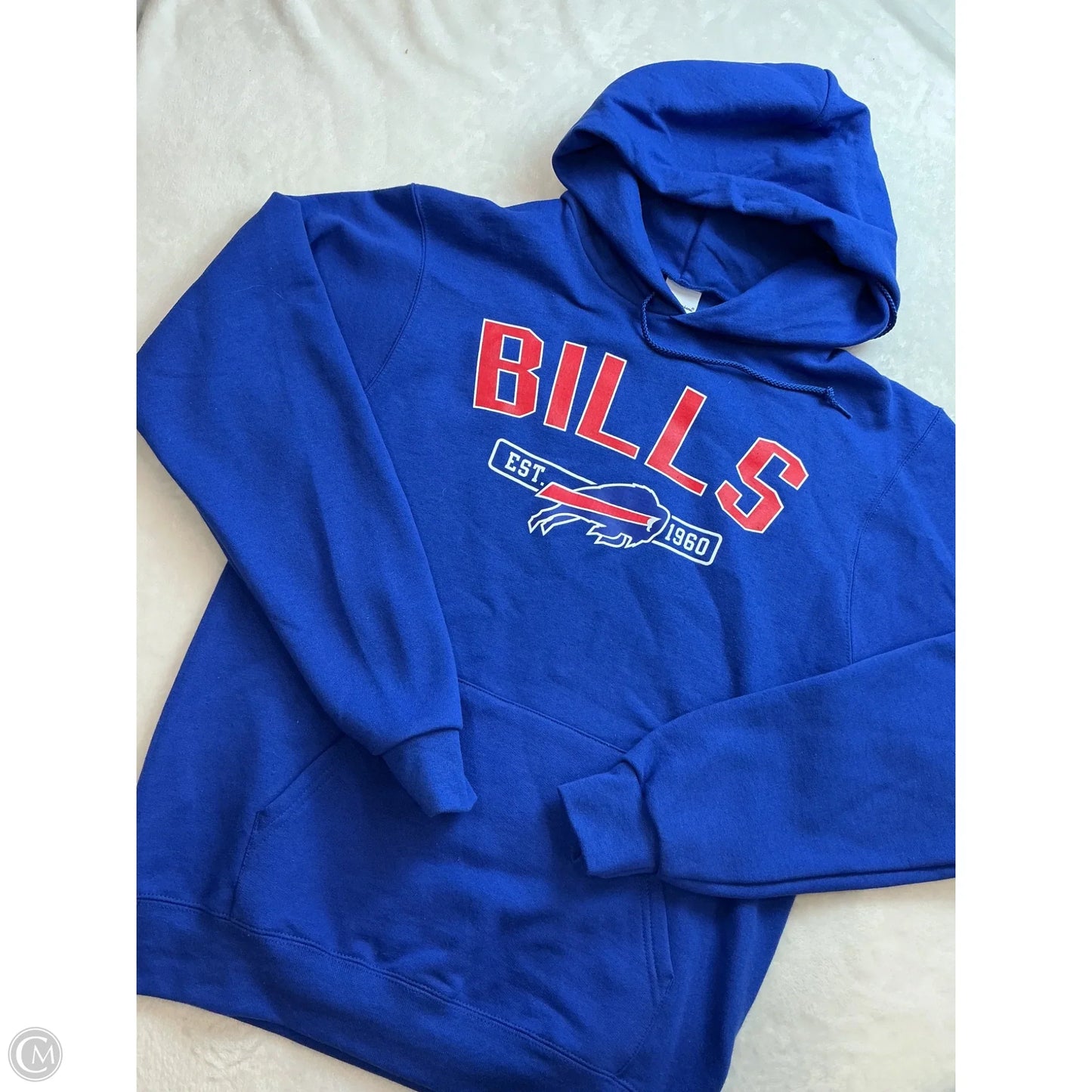 Athletic Sweatshirt Hoodie By Champion In Blue, Size: S
