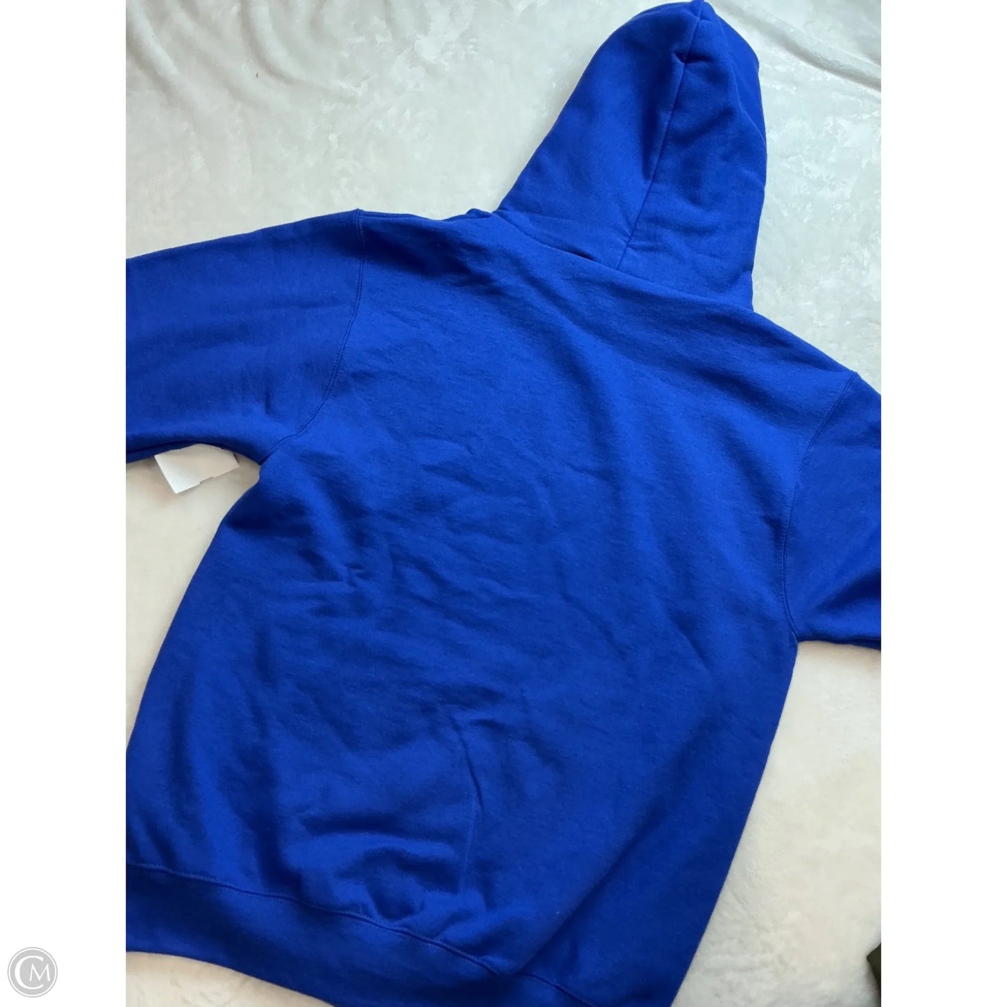 Athletic Sweatshirt Hoodie By Champion In Blue, Size: S