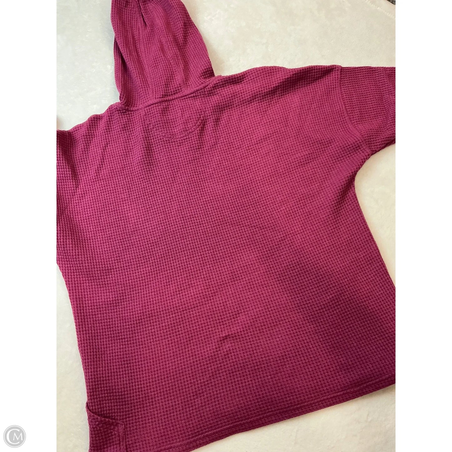 Sweatshirt Hoodie By Carhartt In Pink, Size: Xl