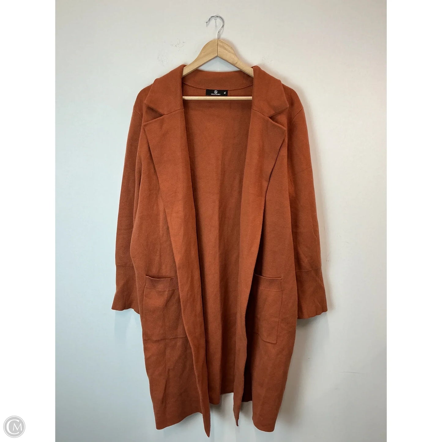 Cardigan By Lillusory In Orange, Size: Xl
