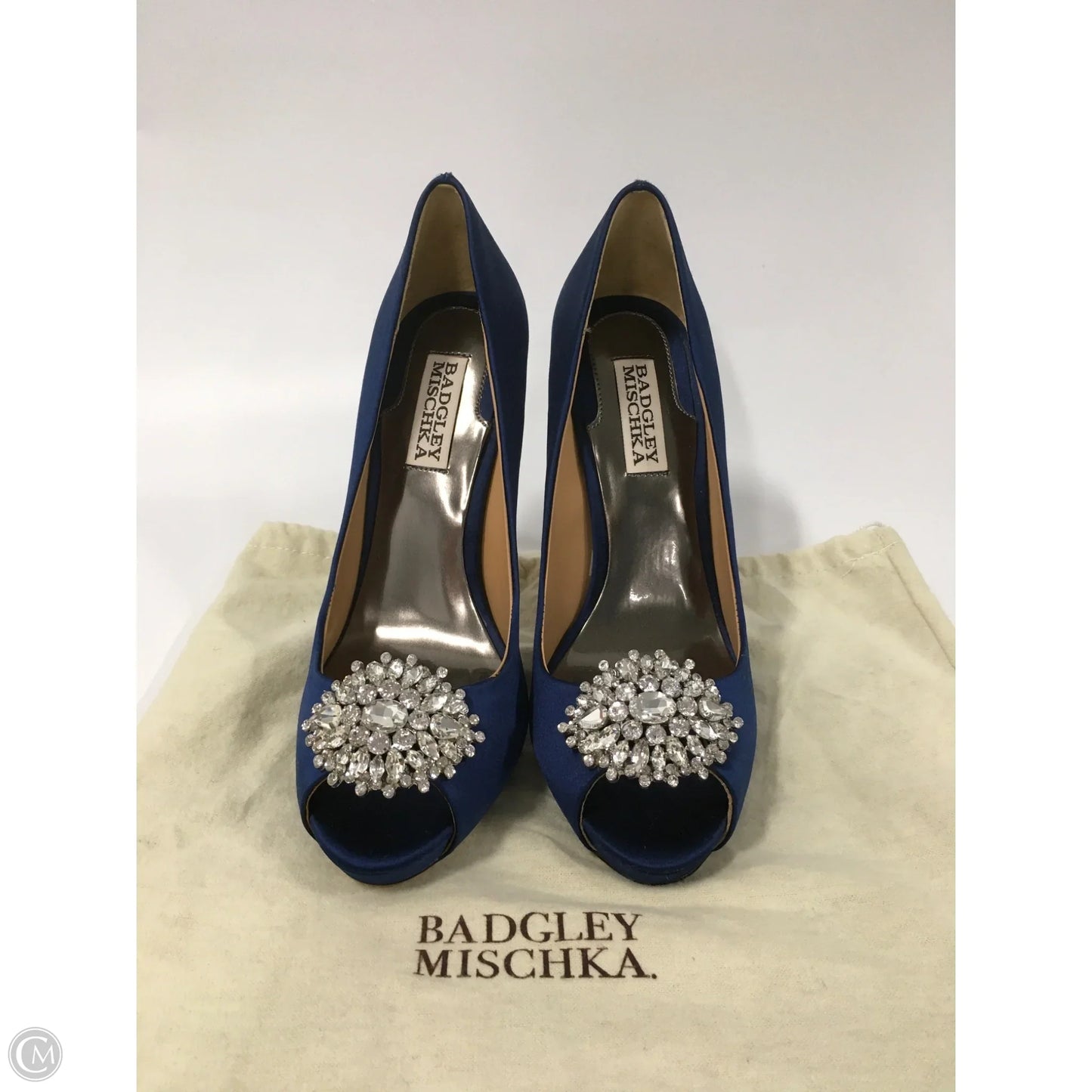 Shoes Heels Platform By Badgley Mischka In Blue, Size: 7