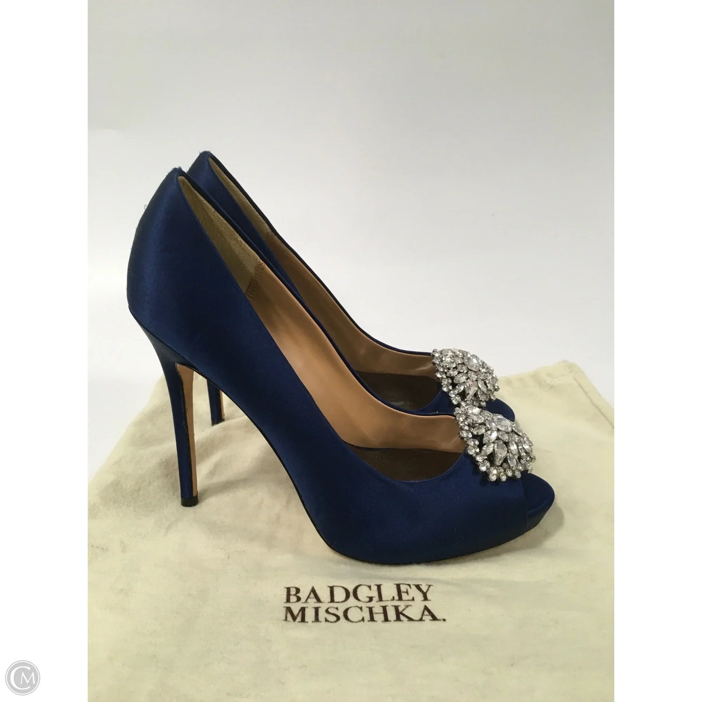 Shoes Heels Platform By Badgley Mischka In Blue, Size: 7